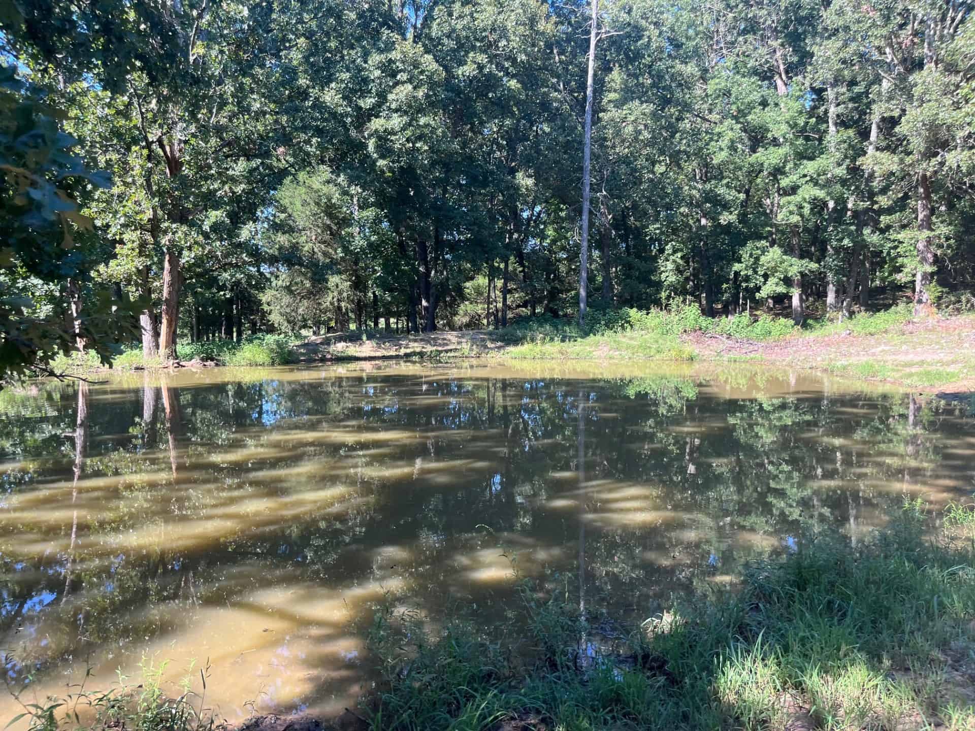 Equine Property with Deer and Turkey Population