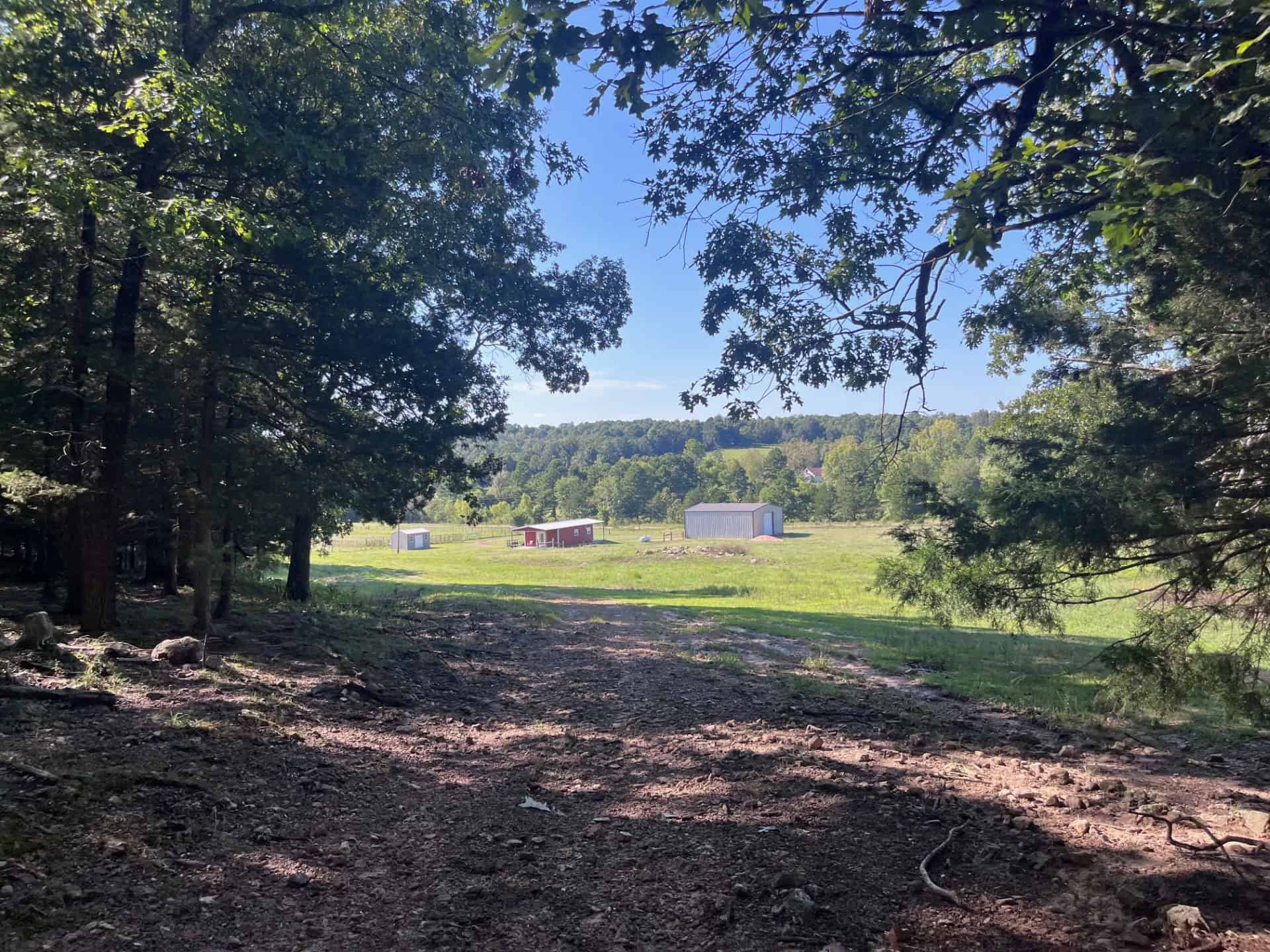 Equine Property with Deer and Turkey Population