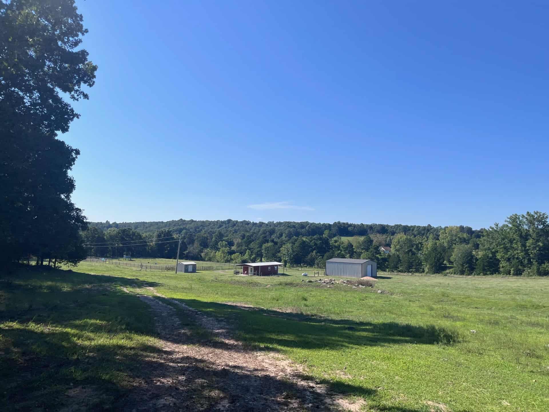Equine Property with Deer and Turkey Population