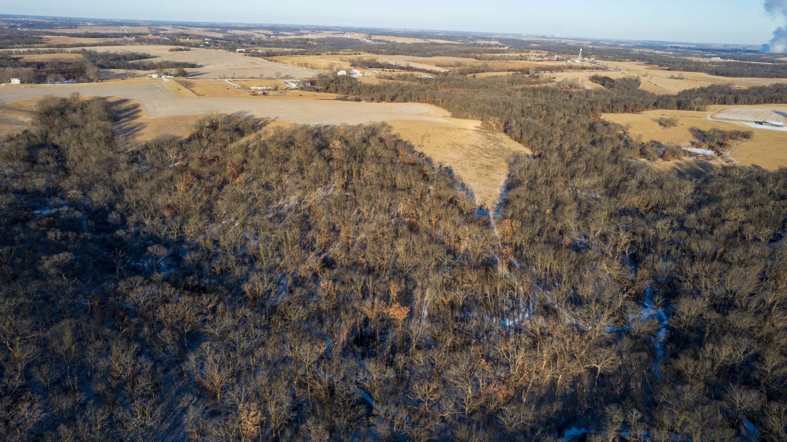65+/- Acres of Opportunity in Western Wapello County