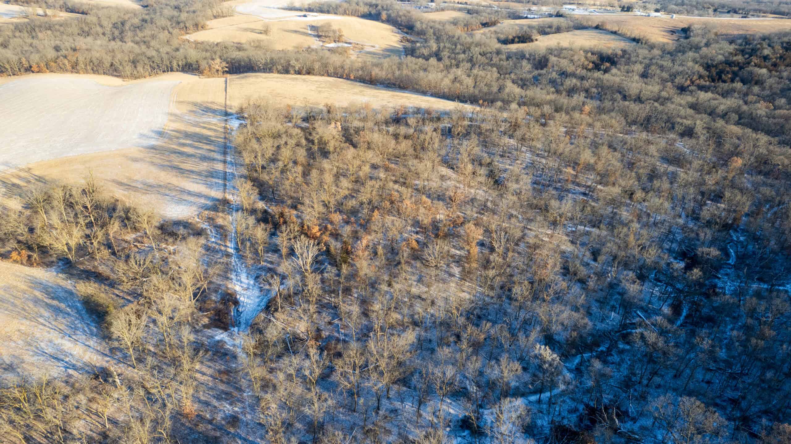 65+/- Acres of Opportunity in Western Wapello County
