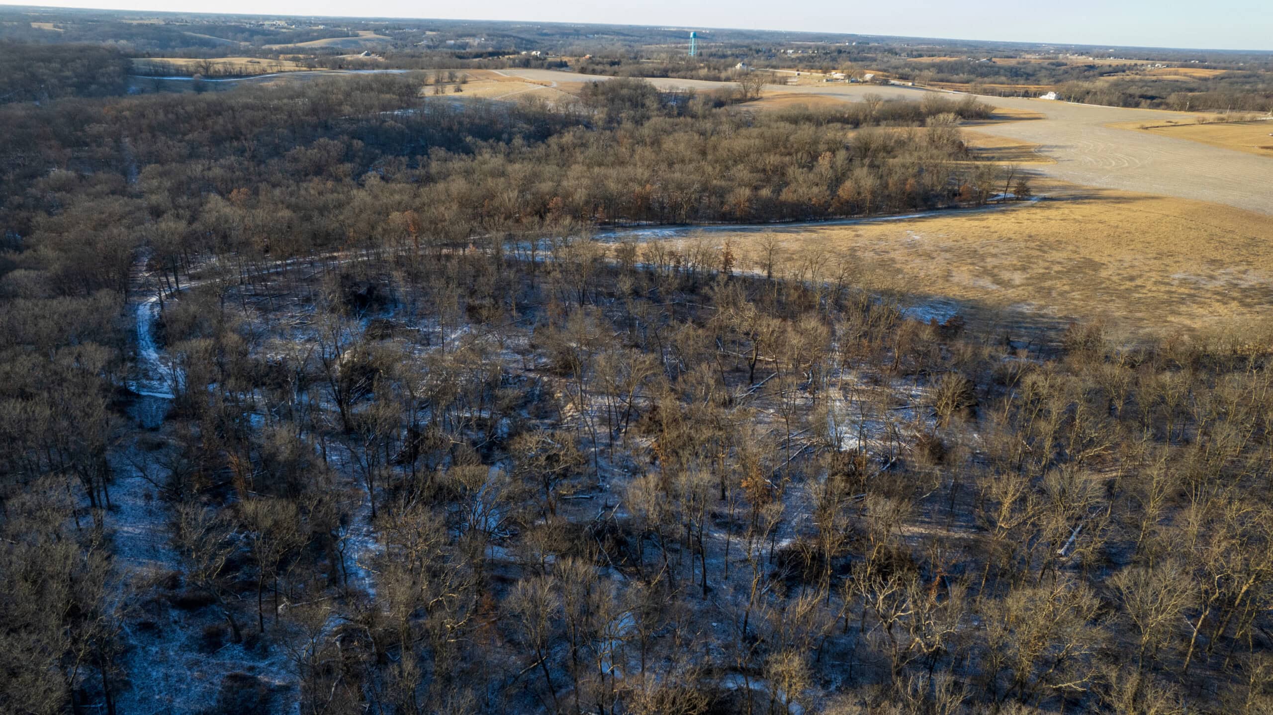 65+/- Acres of Opportunity in Western Wapello County