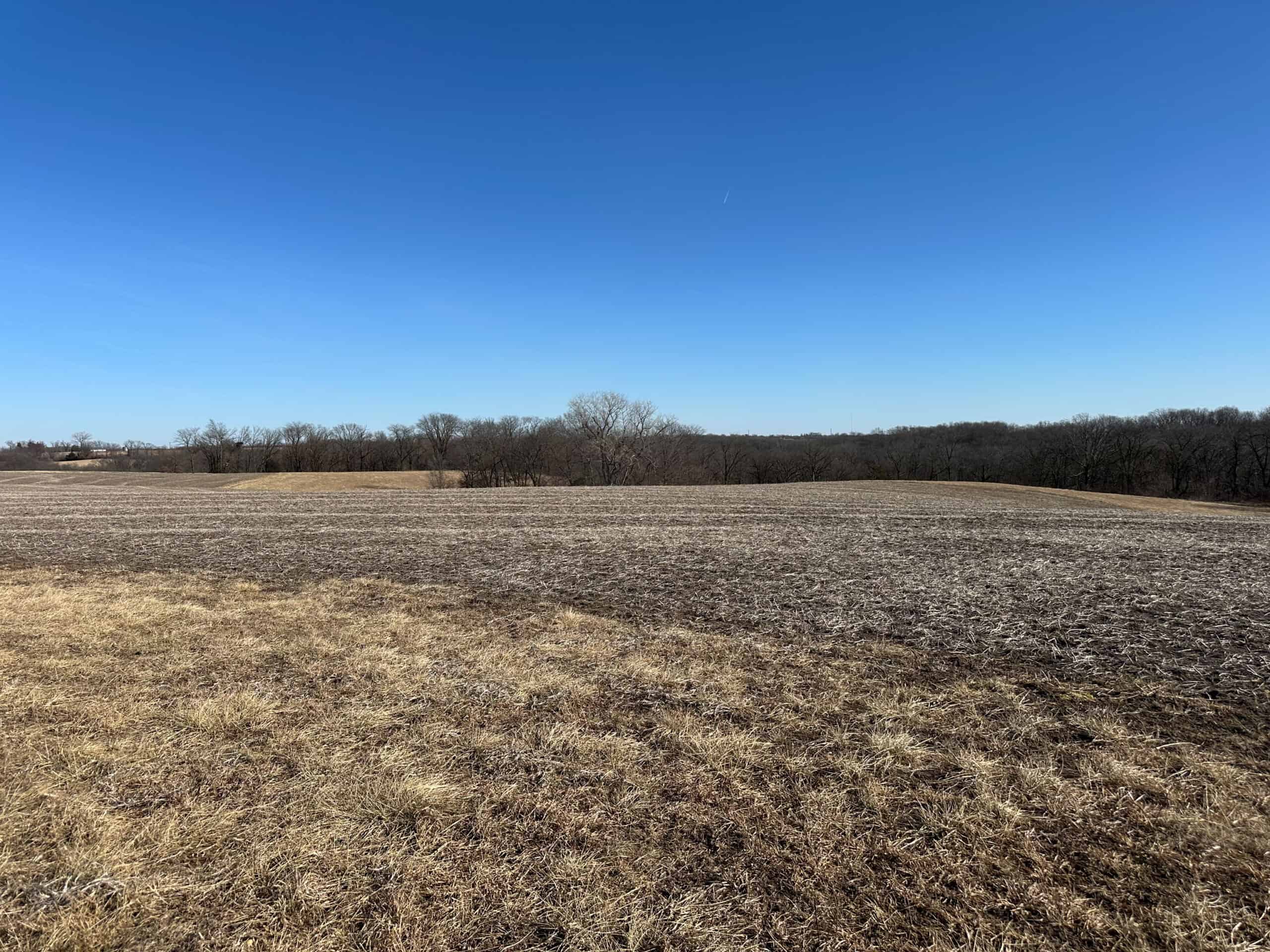 65+/- Acres of Opportunity in Western Wapello County