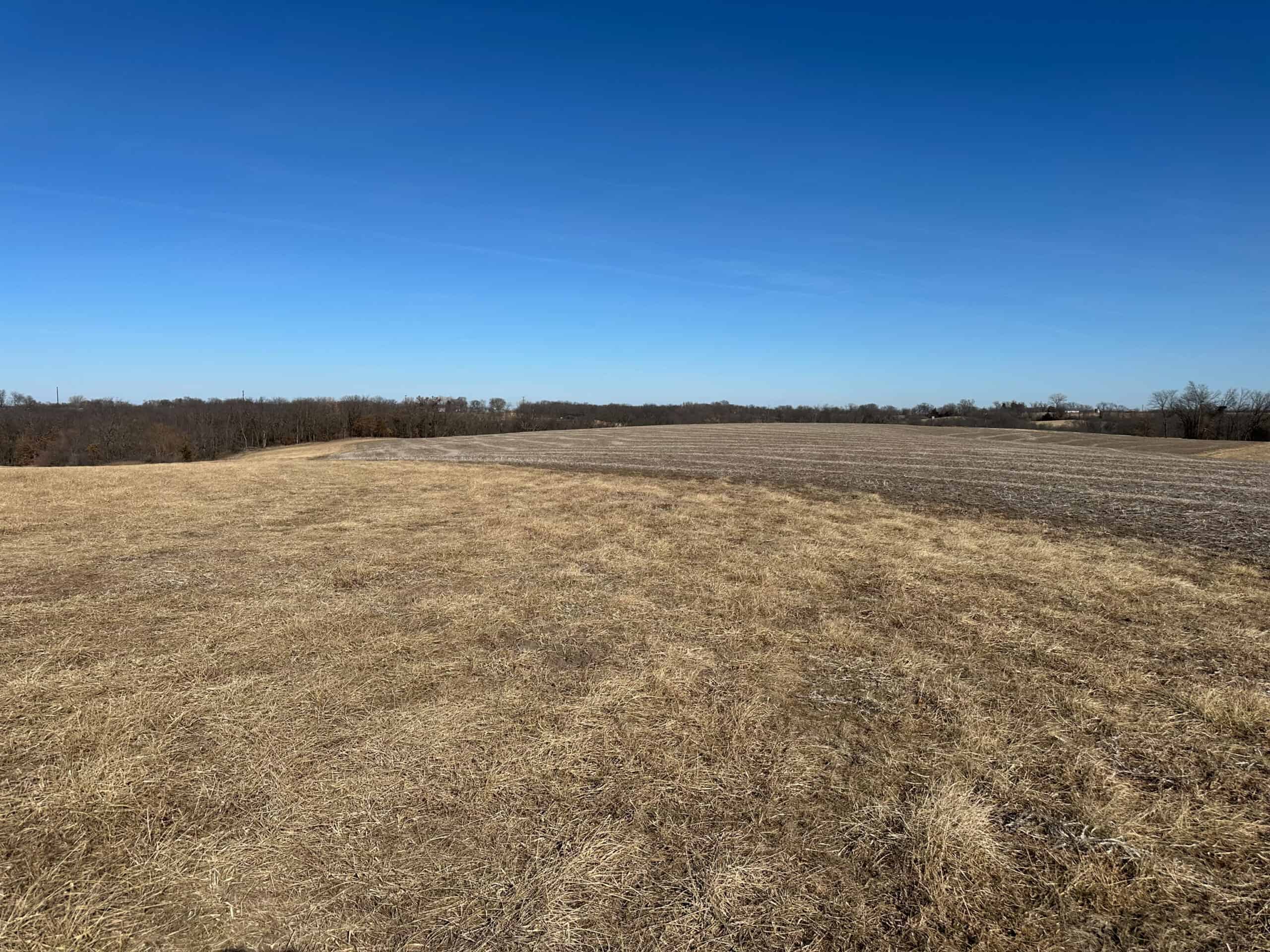 65+/- Acres of Opportunity in Western Wapello County