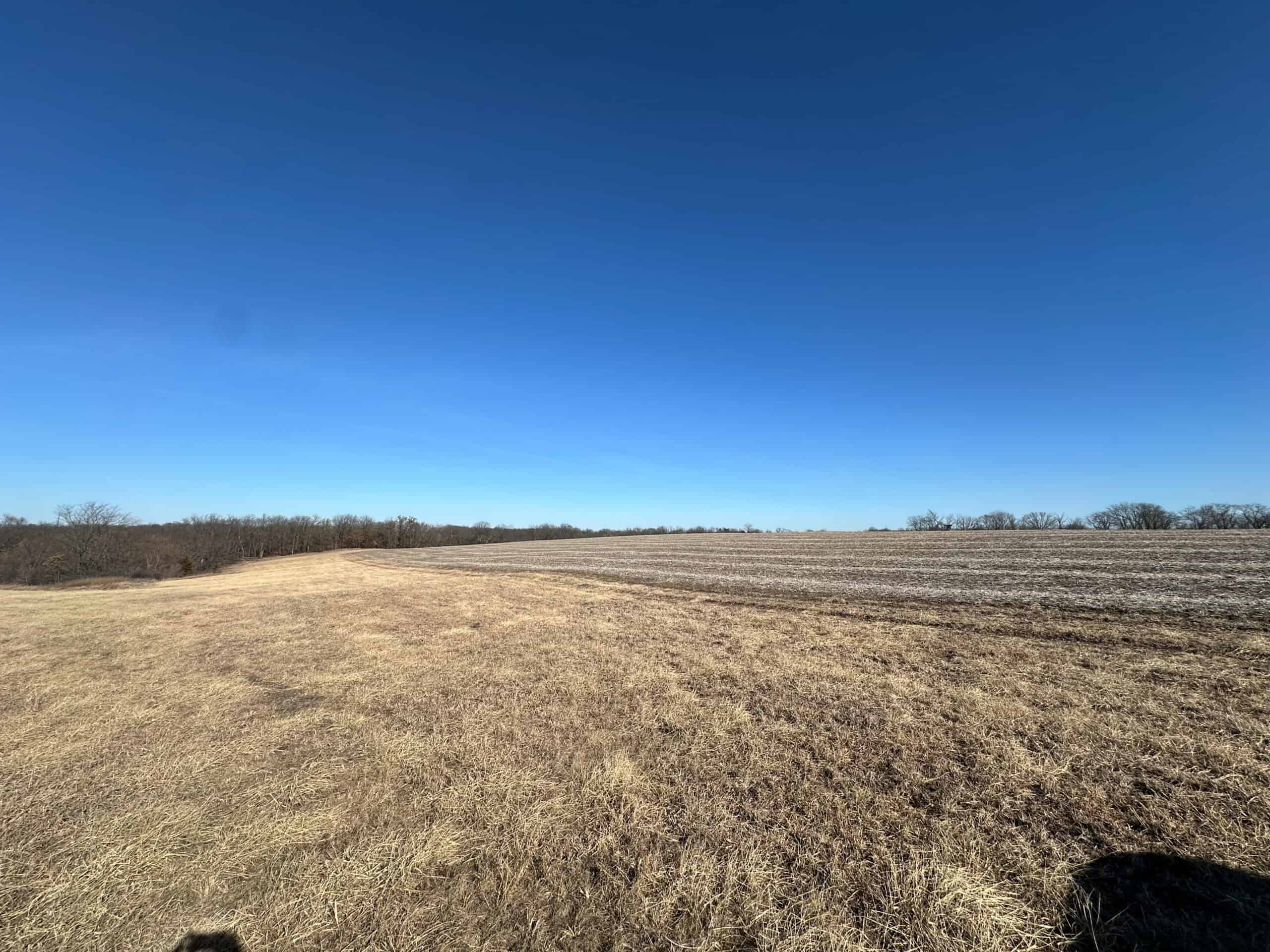 65+/- Acres of Opportunity in Western Wapello County