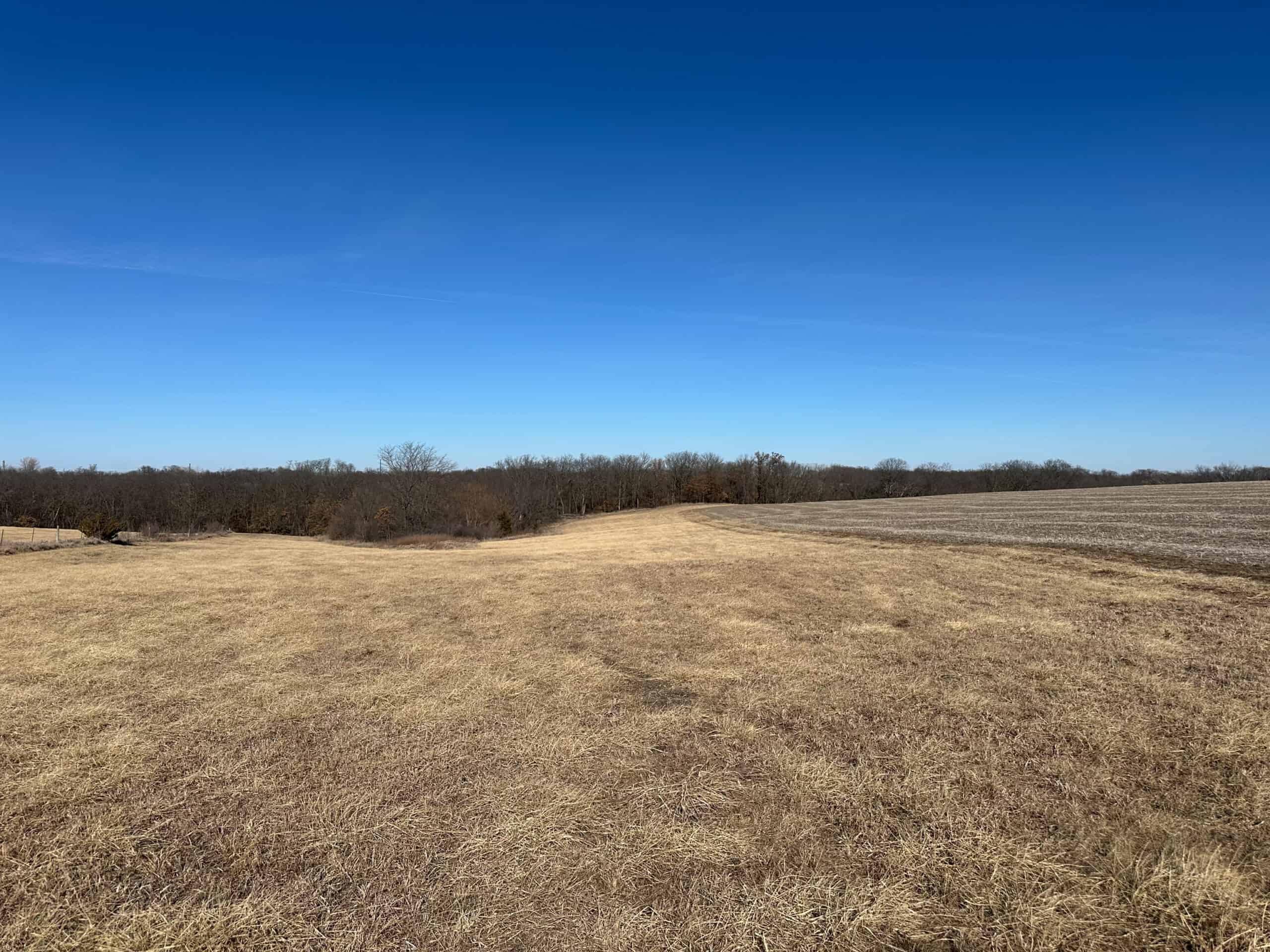 65+/- Acres of Opportunity in Western Wapello County