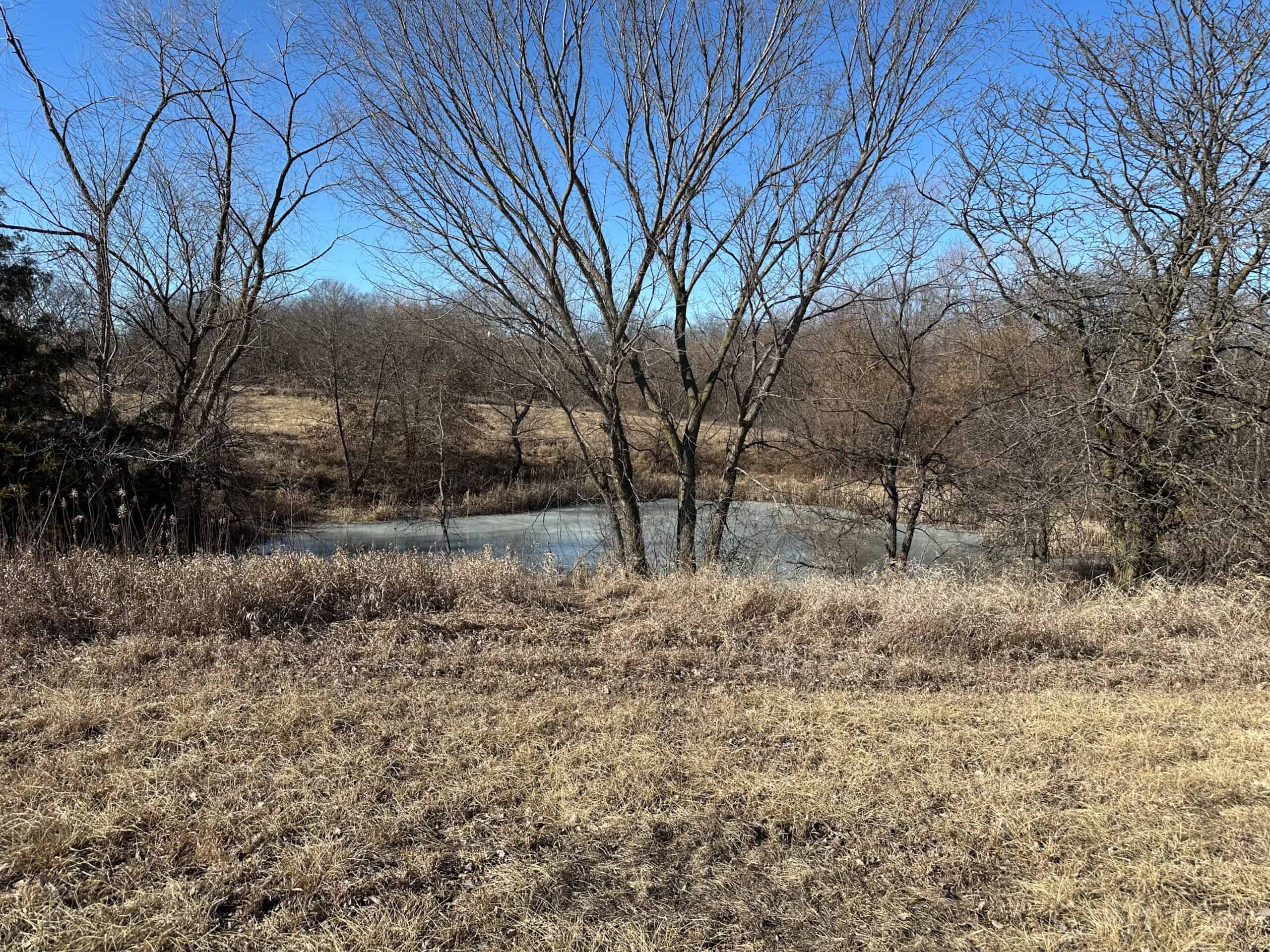 65+/- Acres of Opportunity in Western Wapello County