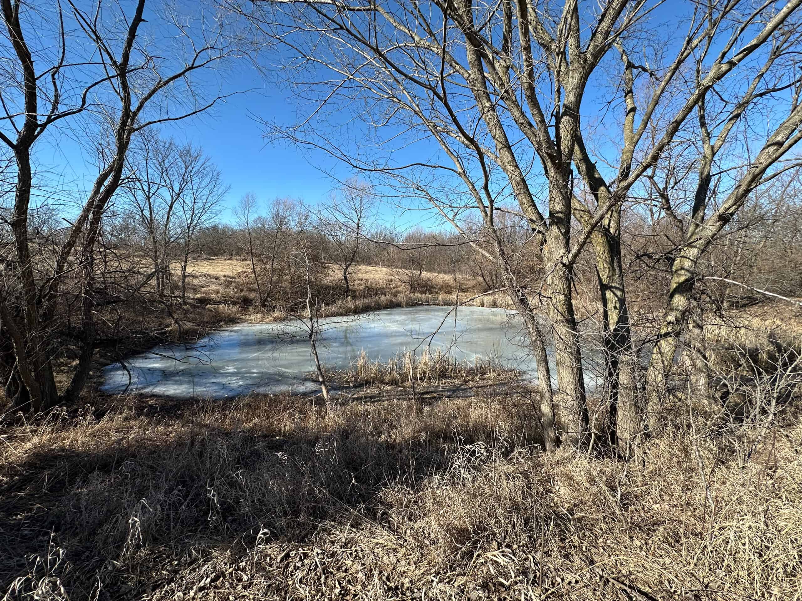65+/- Acres of Opportunity in Western Wapello County