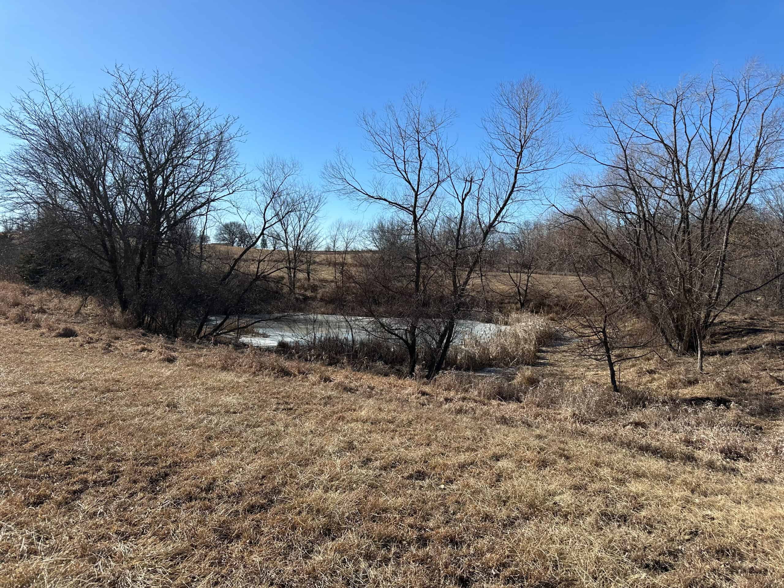 65+/- Acres of Opportunity in Western Wapello County