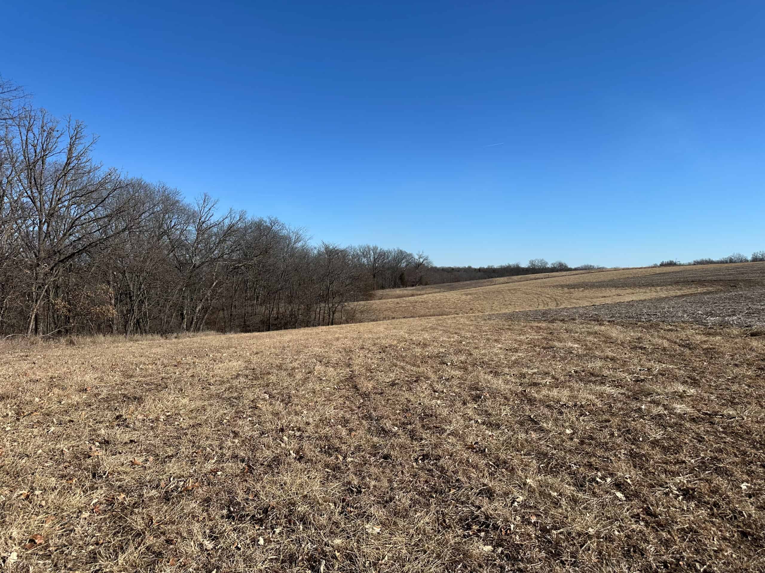 65+/- Acres of Opportunity in Western Wapello County