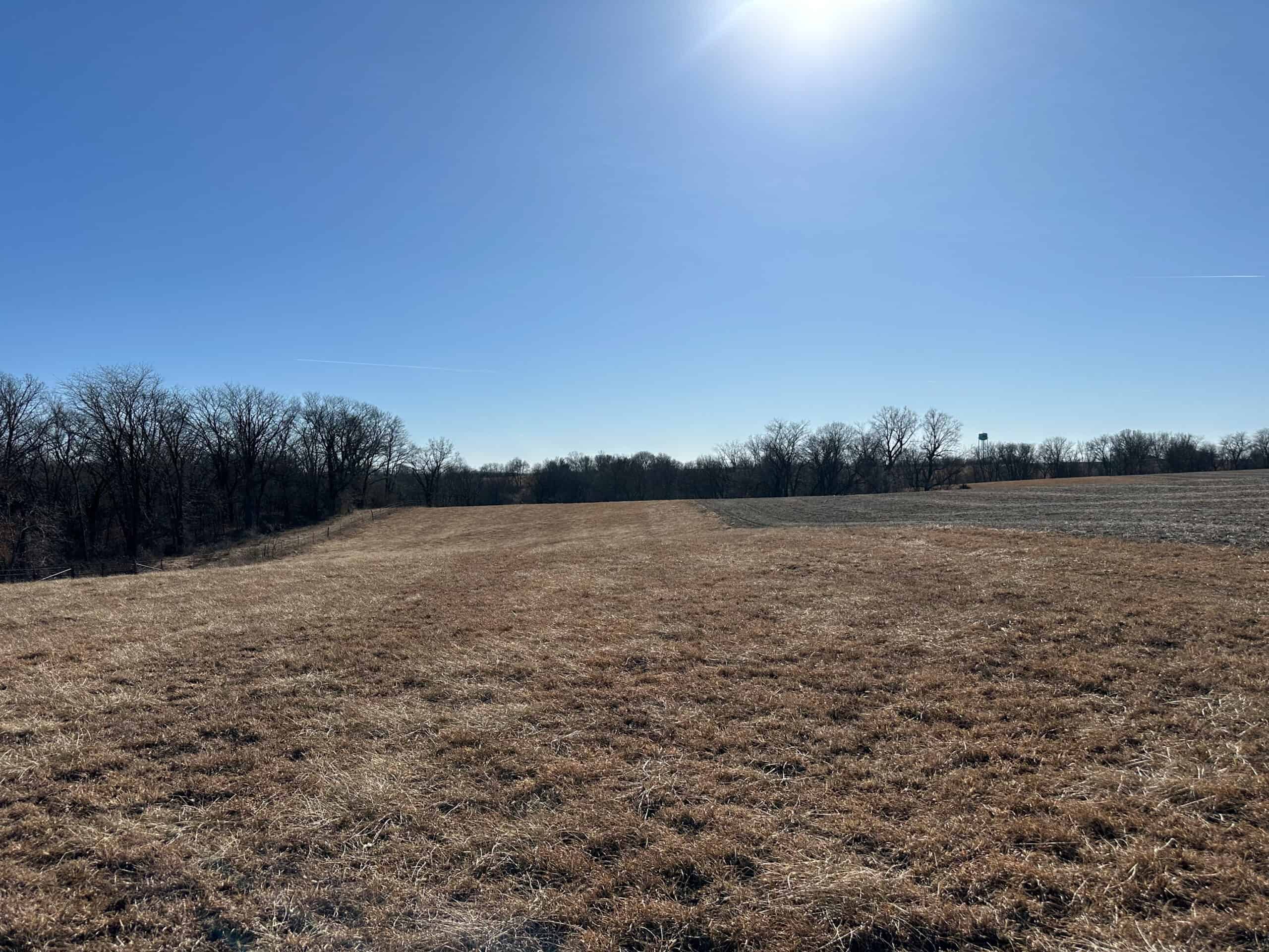 65+/- Acres of Opportunity in Western Wapello County