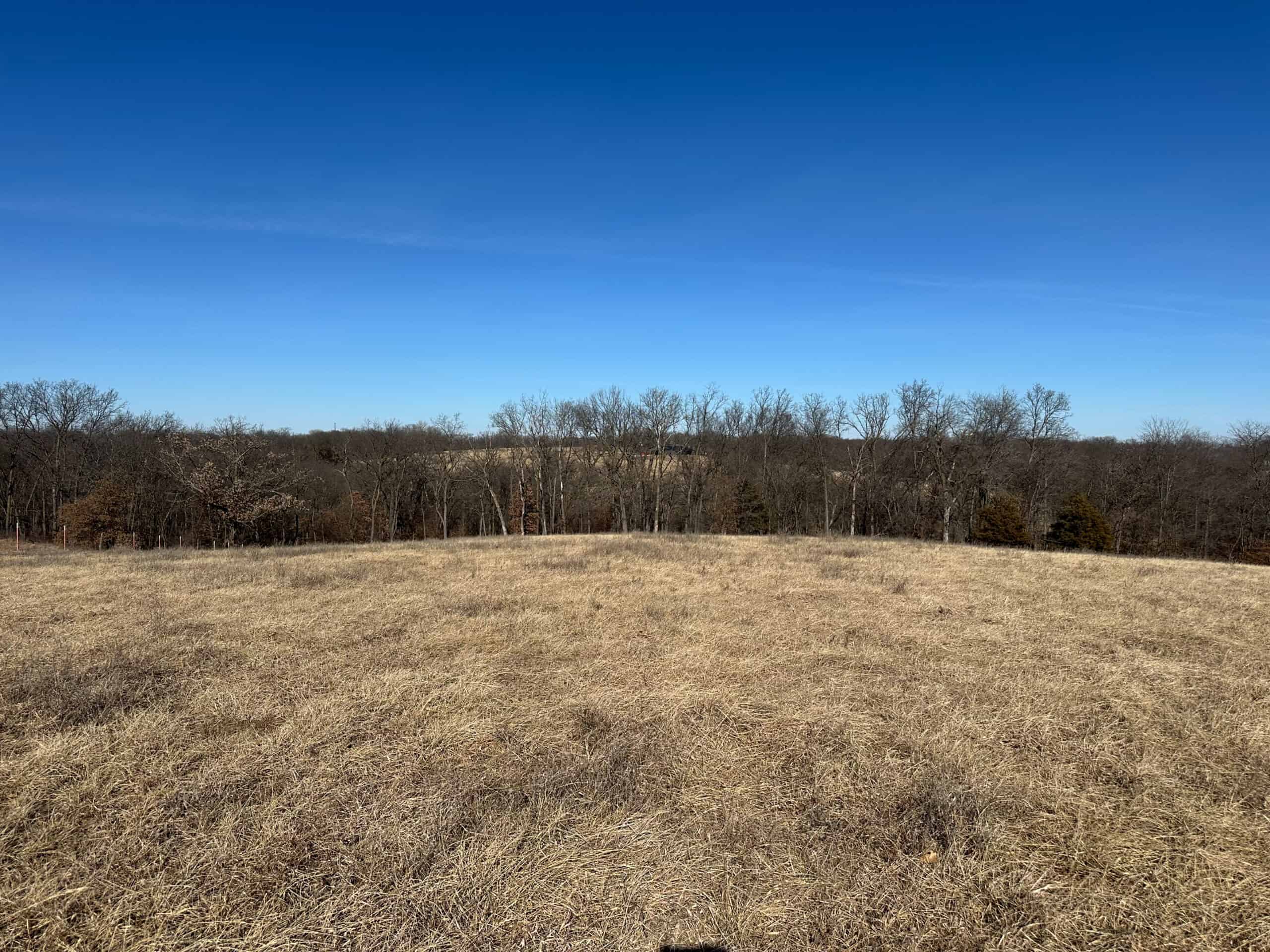 65+/- Acres of Opportunity in Western Wapello County