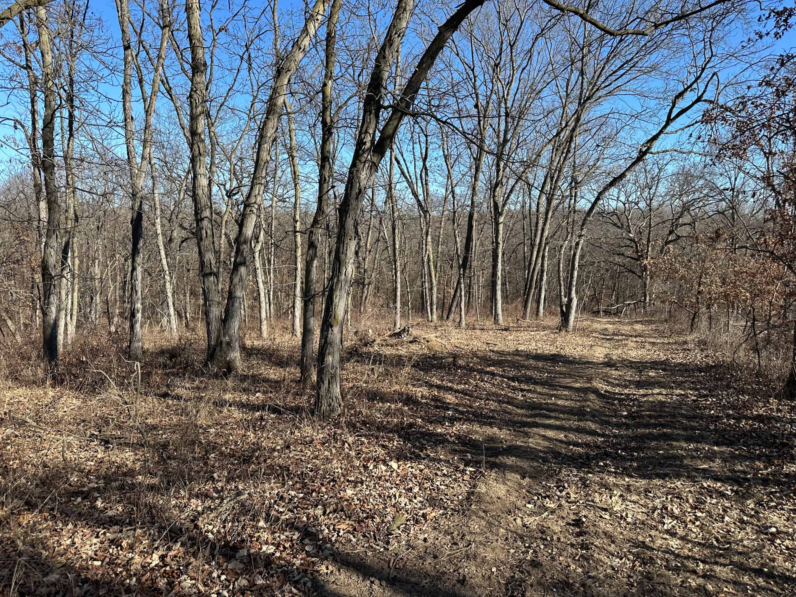 65+/- Acres of Opportunity in Western Wapello County
