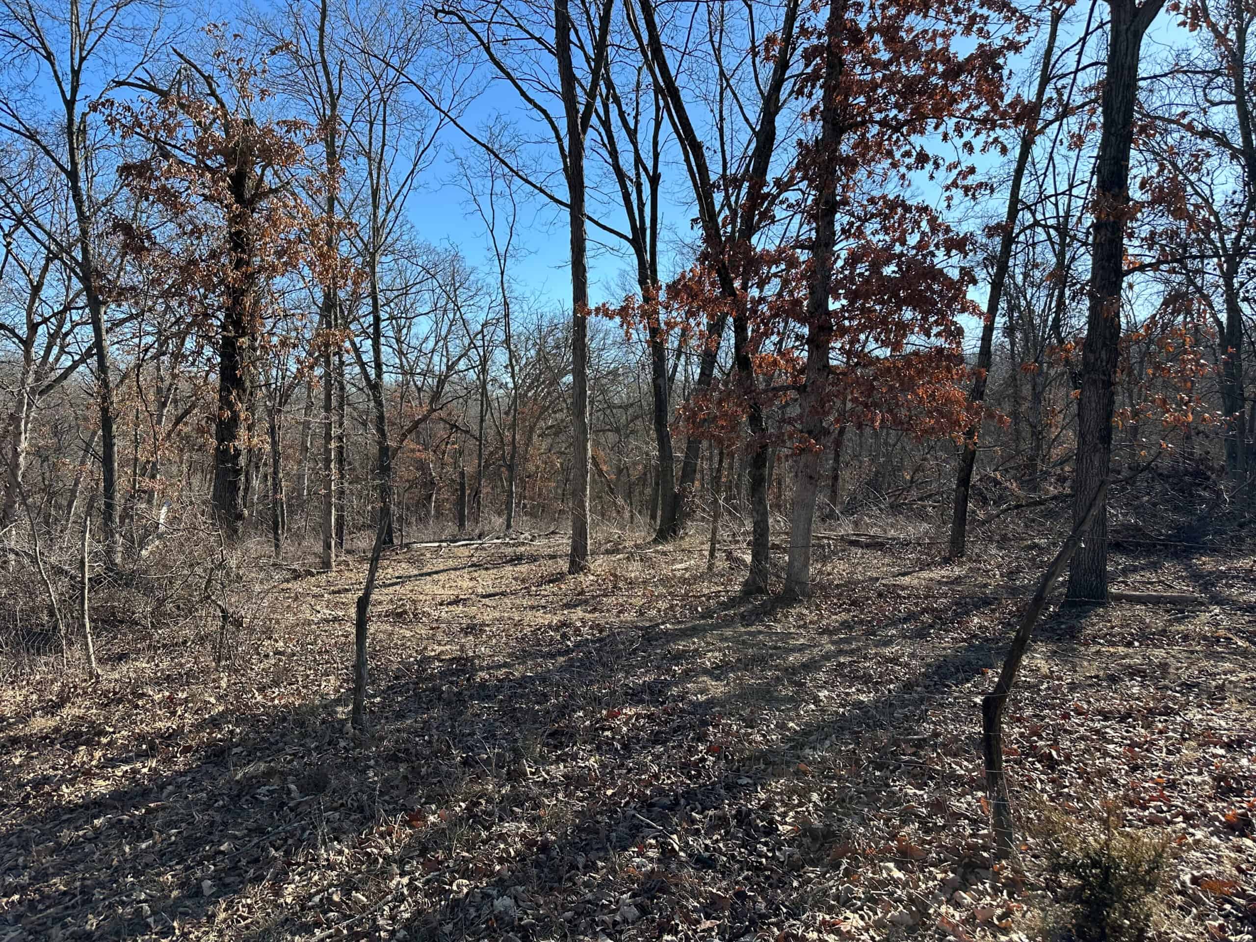 65+/- Acres of Opportunity in Western Wapello County
