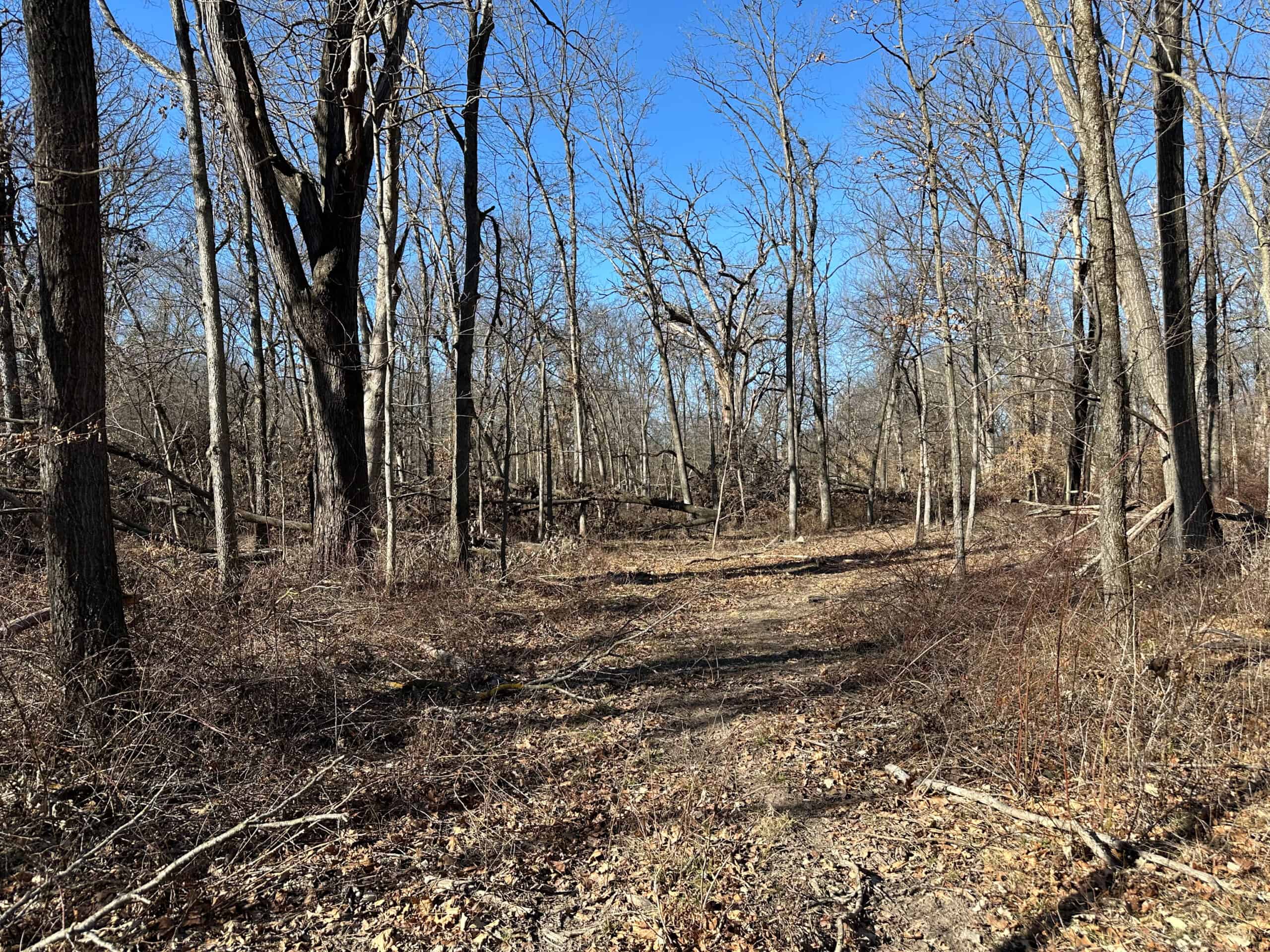 65+/- Acres of Opportunity in Western Wapello County