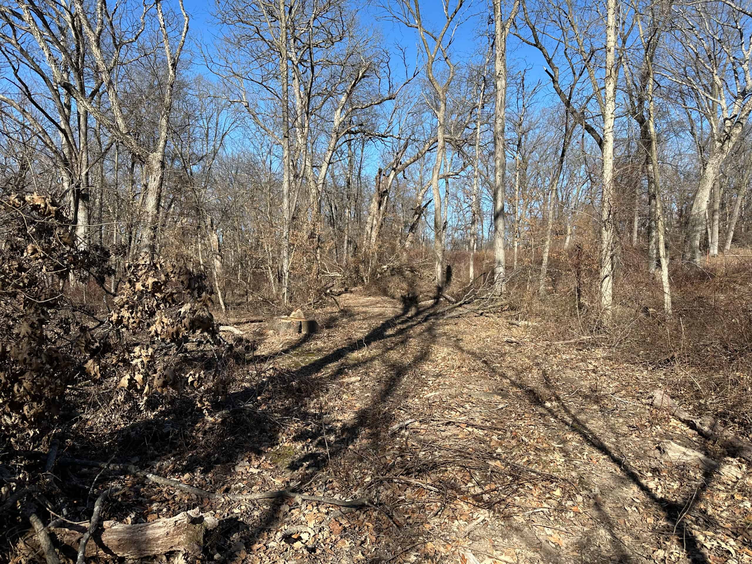 65+/- Acres of Opportunity in Western Wapello County