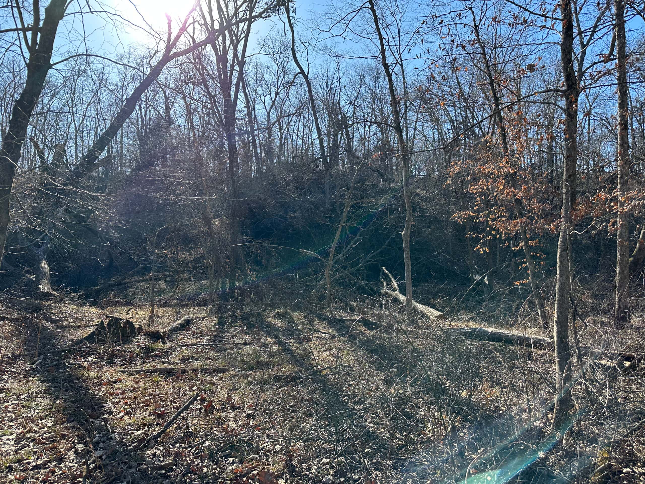 65+/- Acres of Opportunity in Western Wapello County