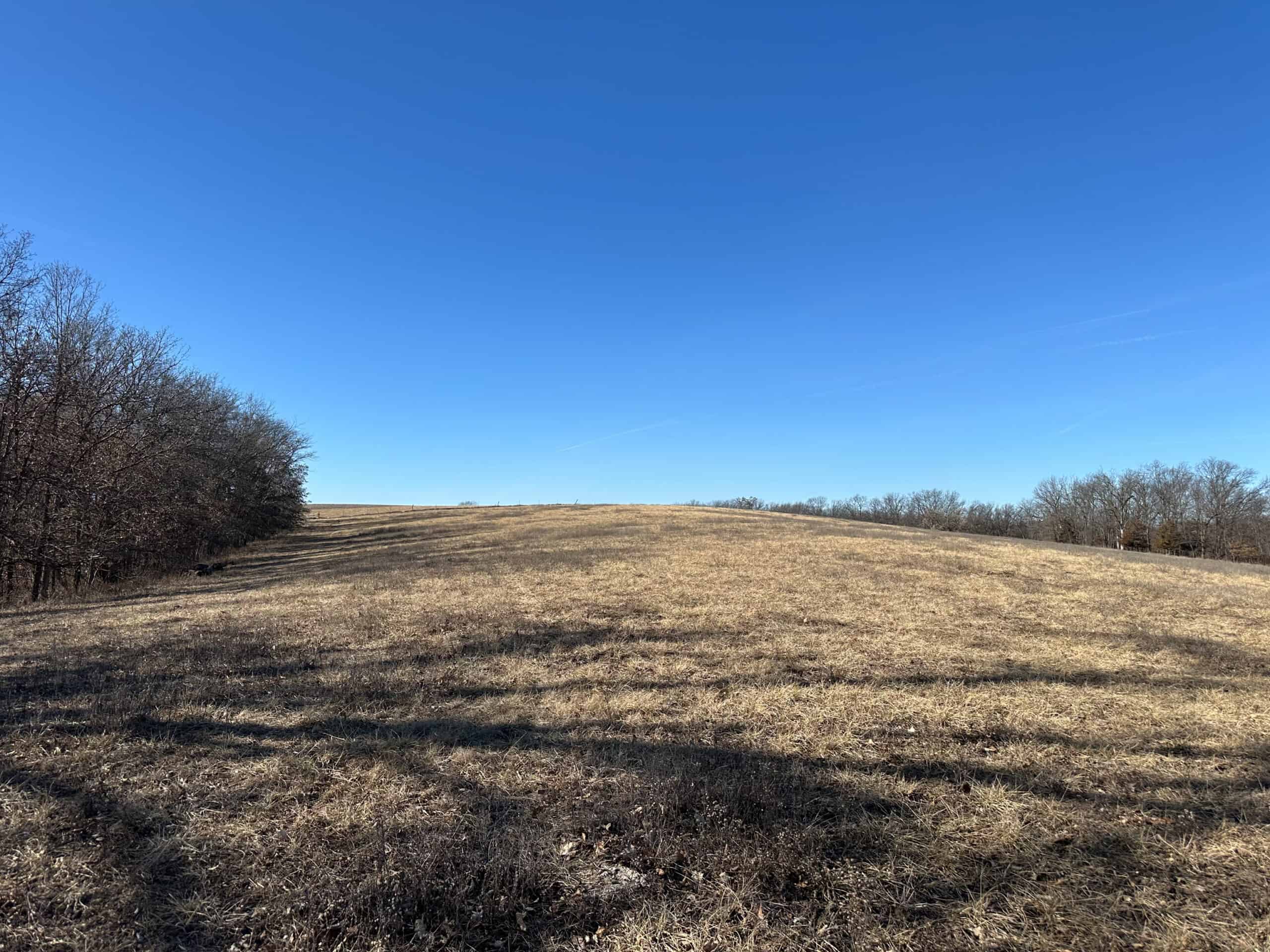 65+/- Acres of Opportunity in Western Wapello County
