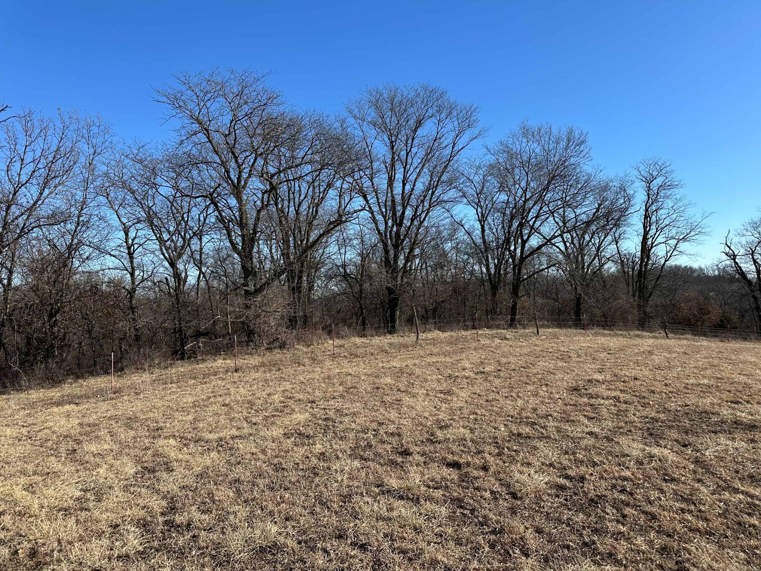 65+/- Acres of Opportunity in Western Wapello County