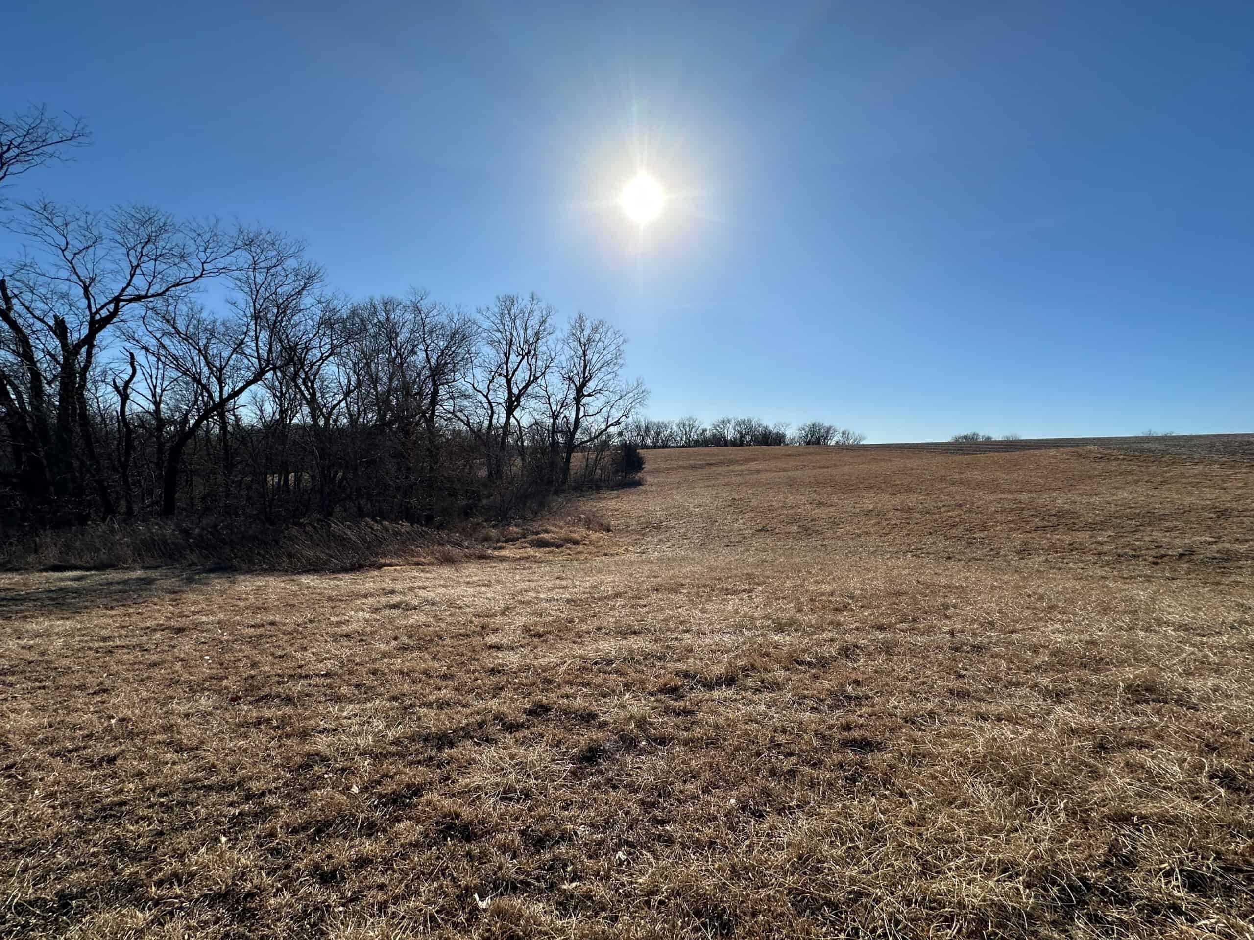65+/- Acres of Opportunity in Western Wapello County