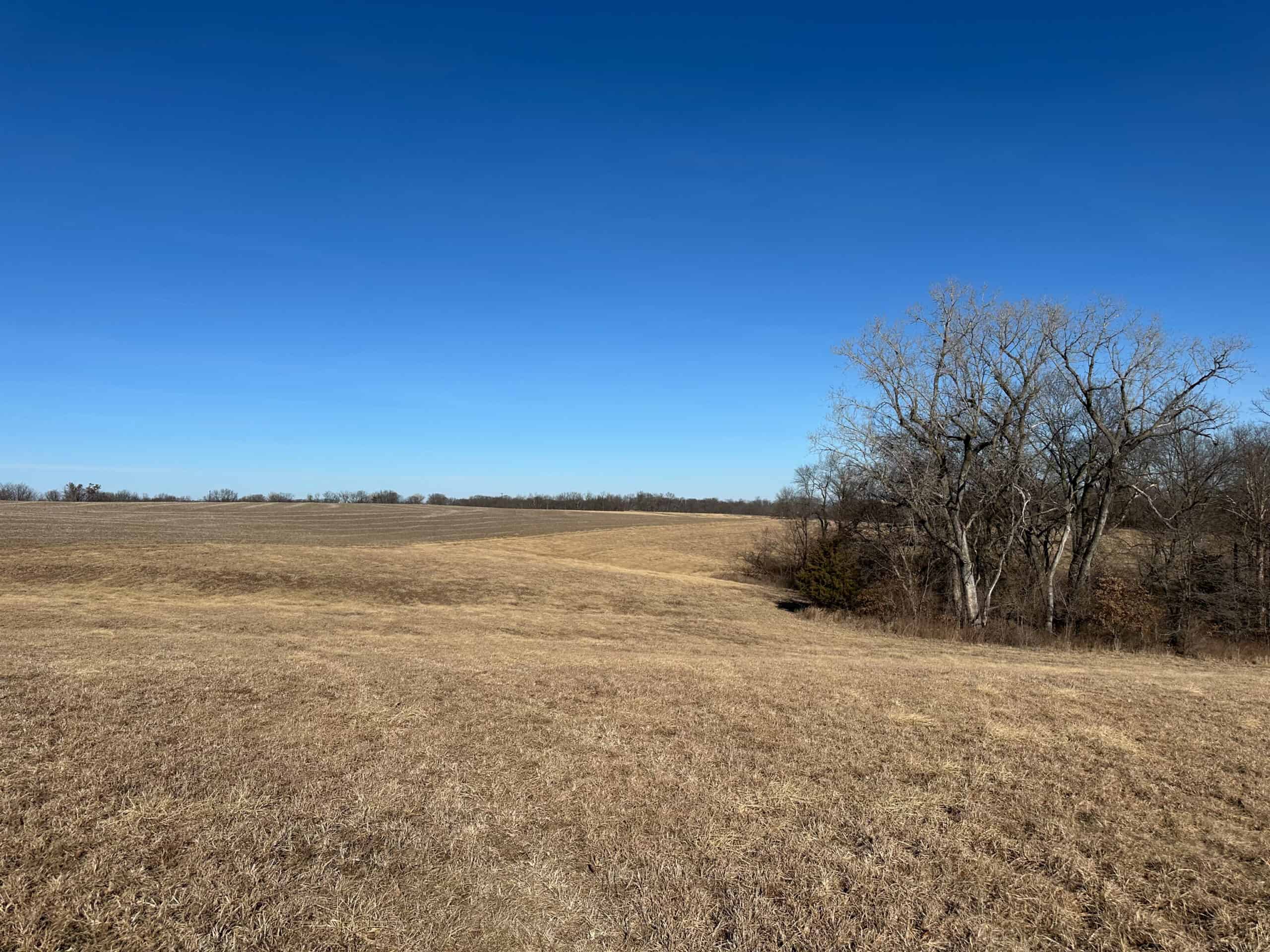 65+/- Acres of Opportunity in Western Wapello County