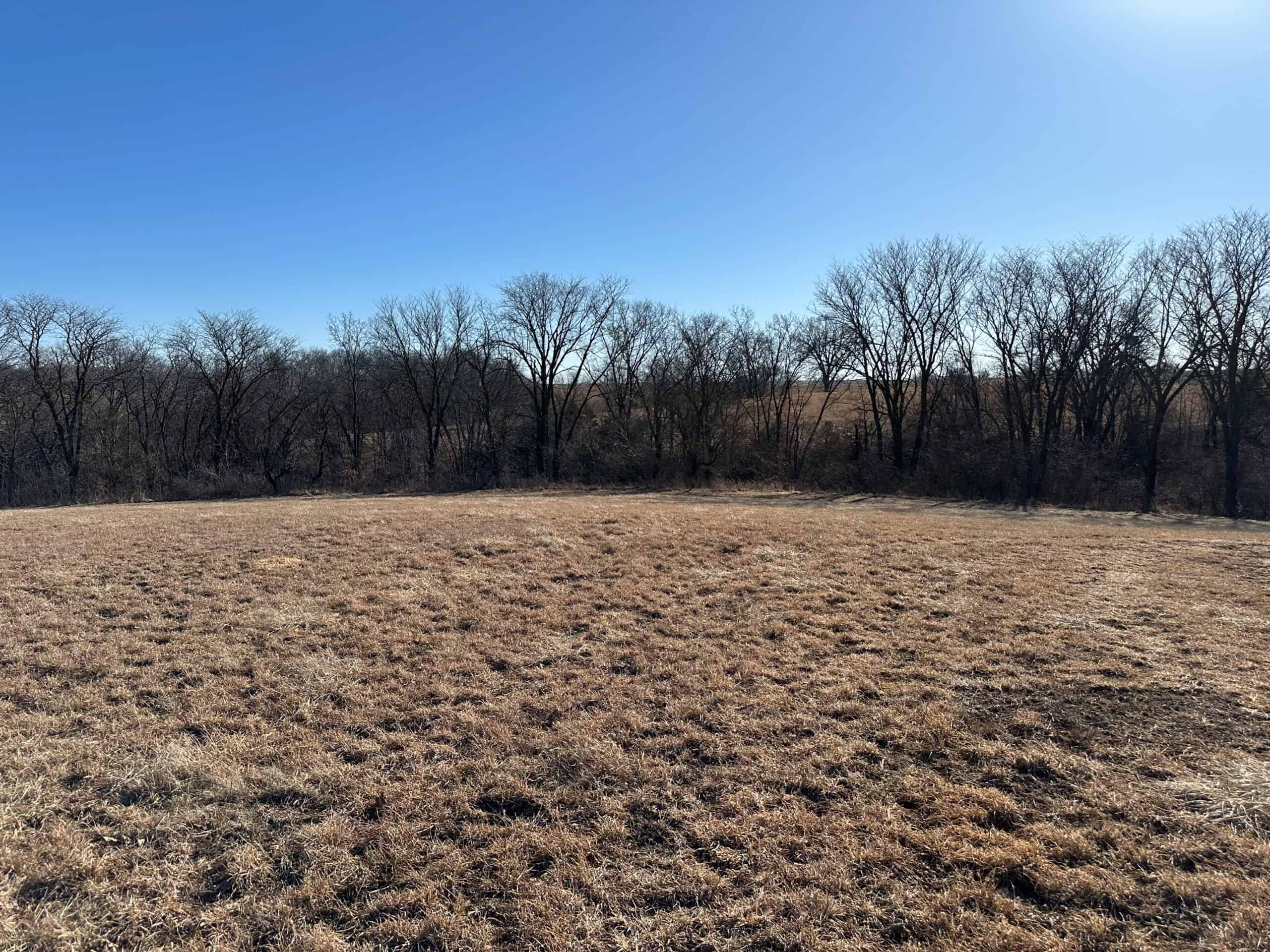 65+/- Acres of Opportunity in Western Wapello County
