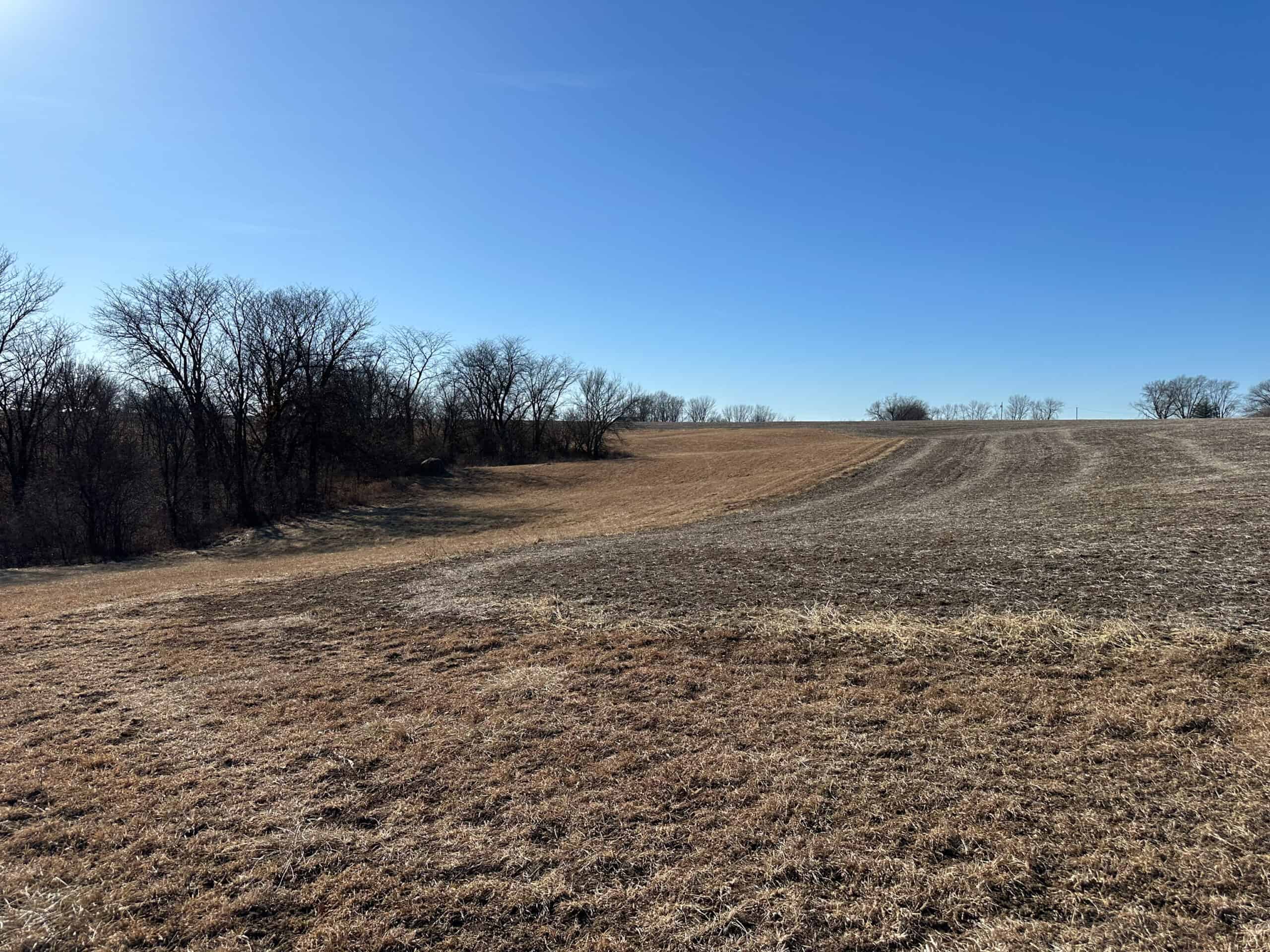 65+/- Acres of Opportunity in Western Wapello County