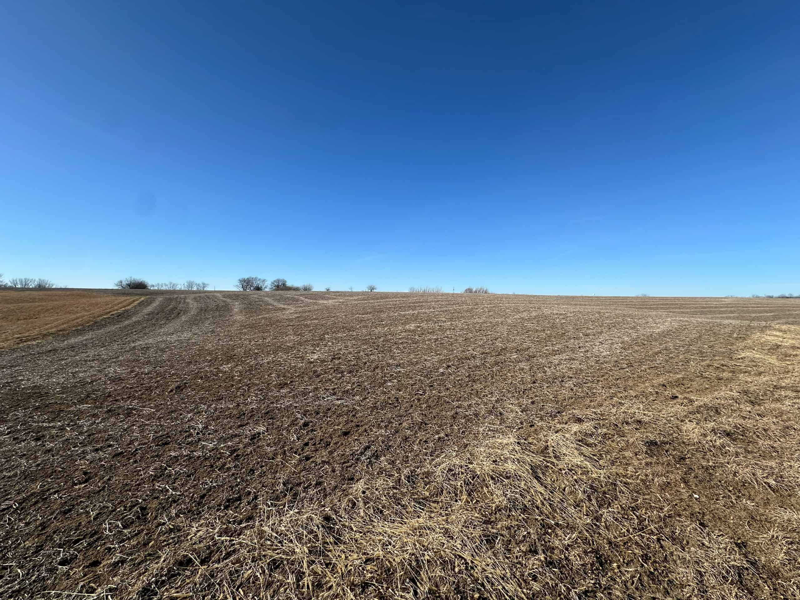 65+/- Acres of Opportunity in Western Wapello County