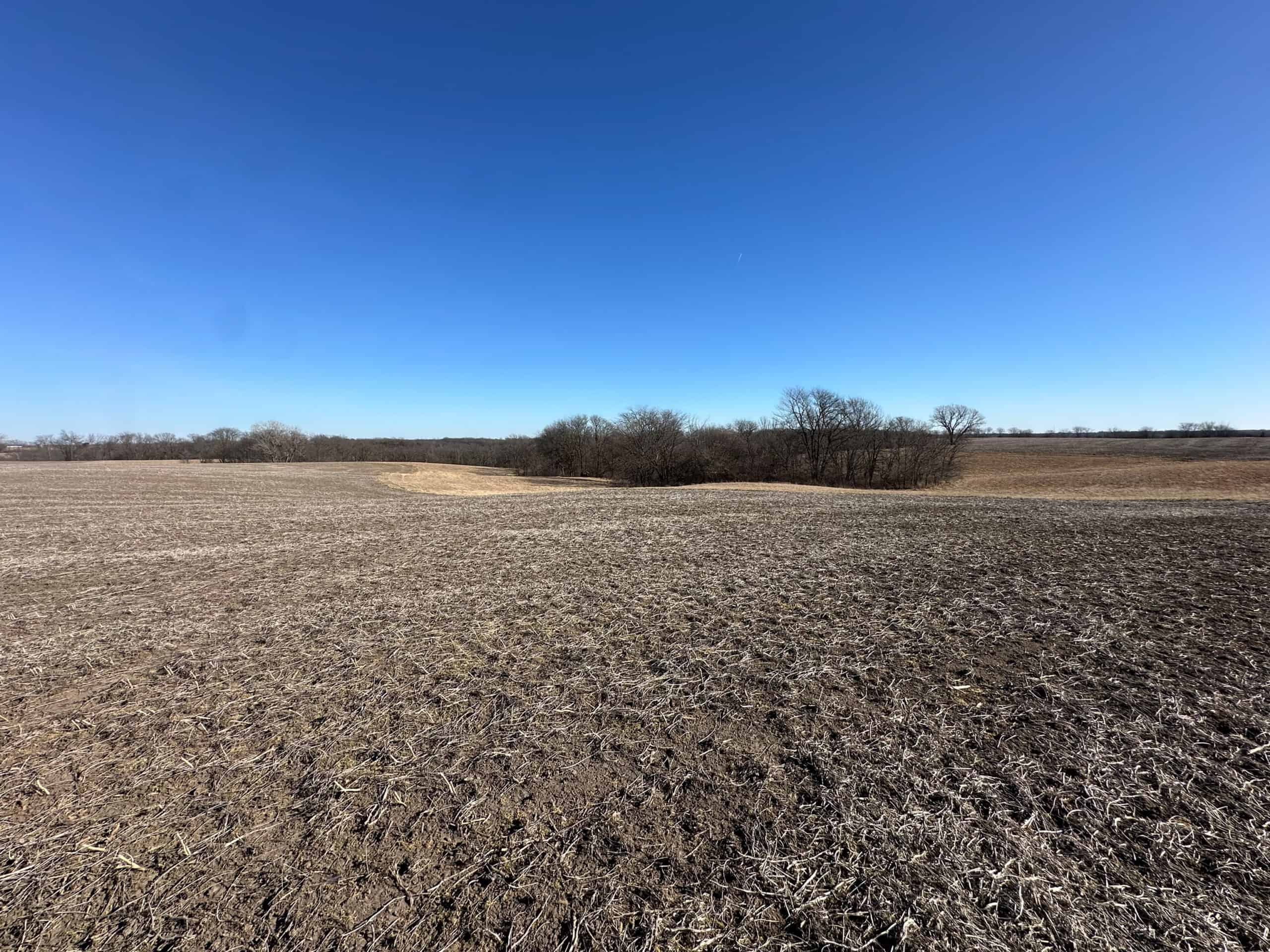 65+/- Acres of Opportunity in Western Wapello County
