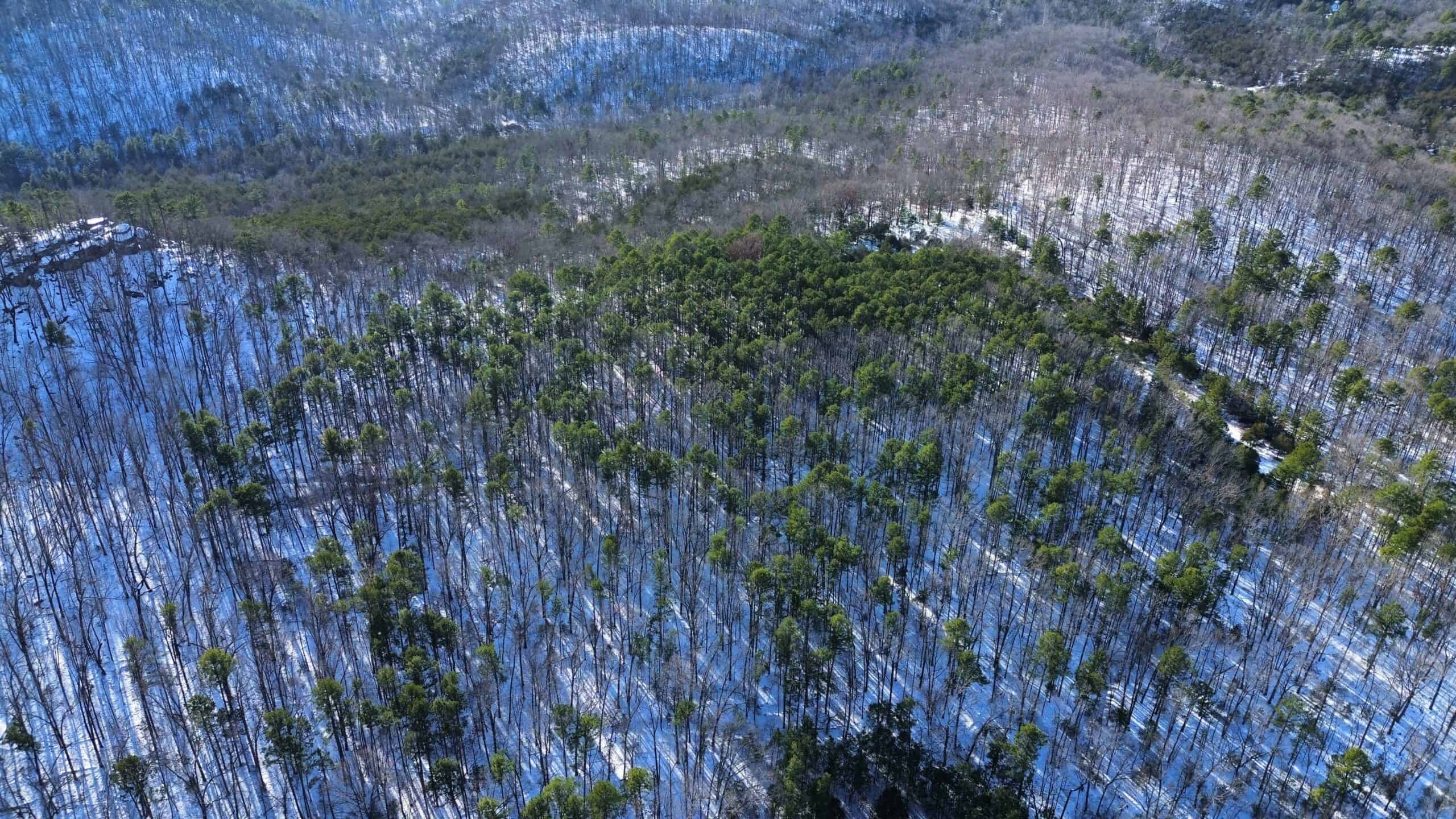 Land for Sale in North Central Arkansas