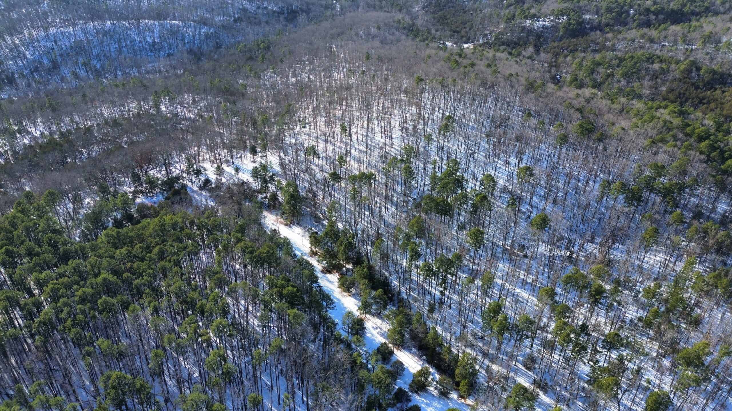 Land for Sale in North Central Arkansas