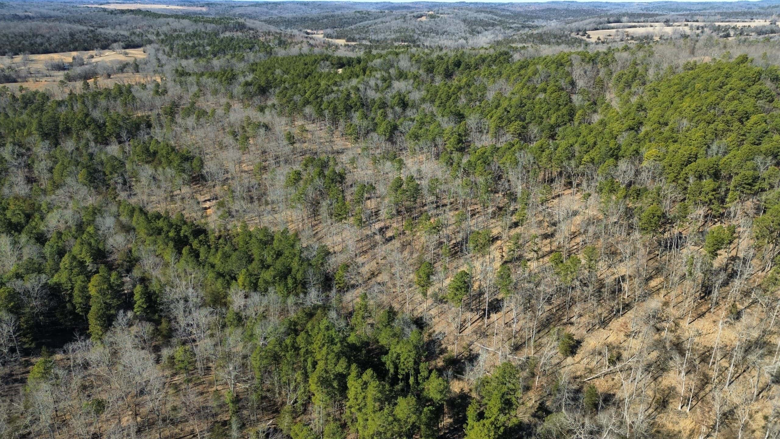 HUNTING LAND FOR SALE IN OZARK MOUNTAINS OF ARKANSAS