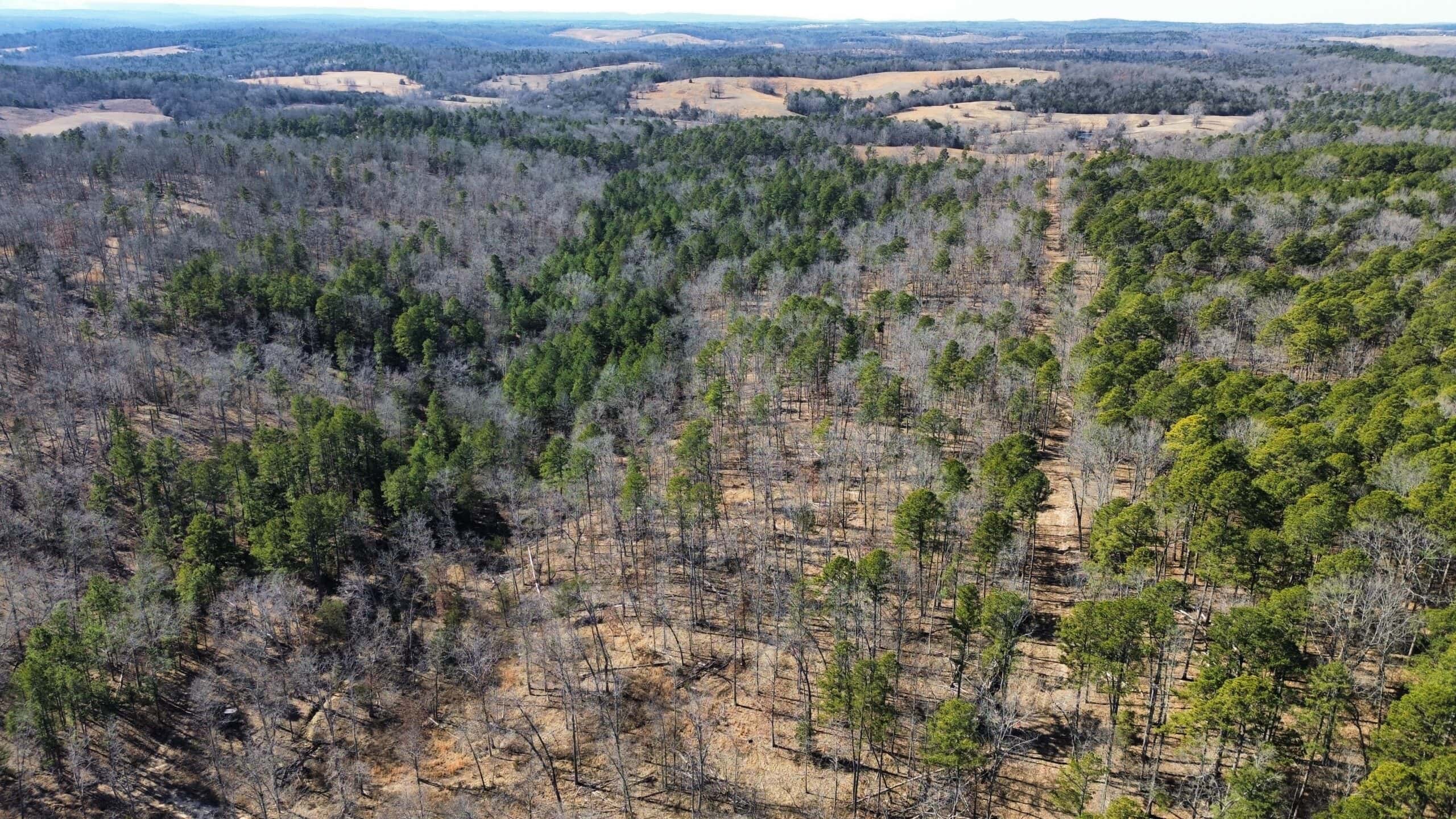 HUNTING LAND FOR SALE IN OZARK MOUNTAINS OF ARKANSAS
