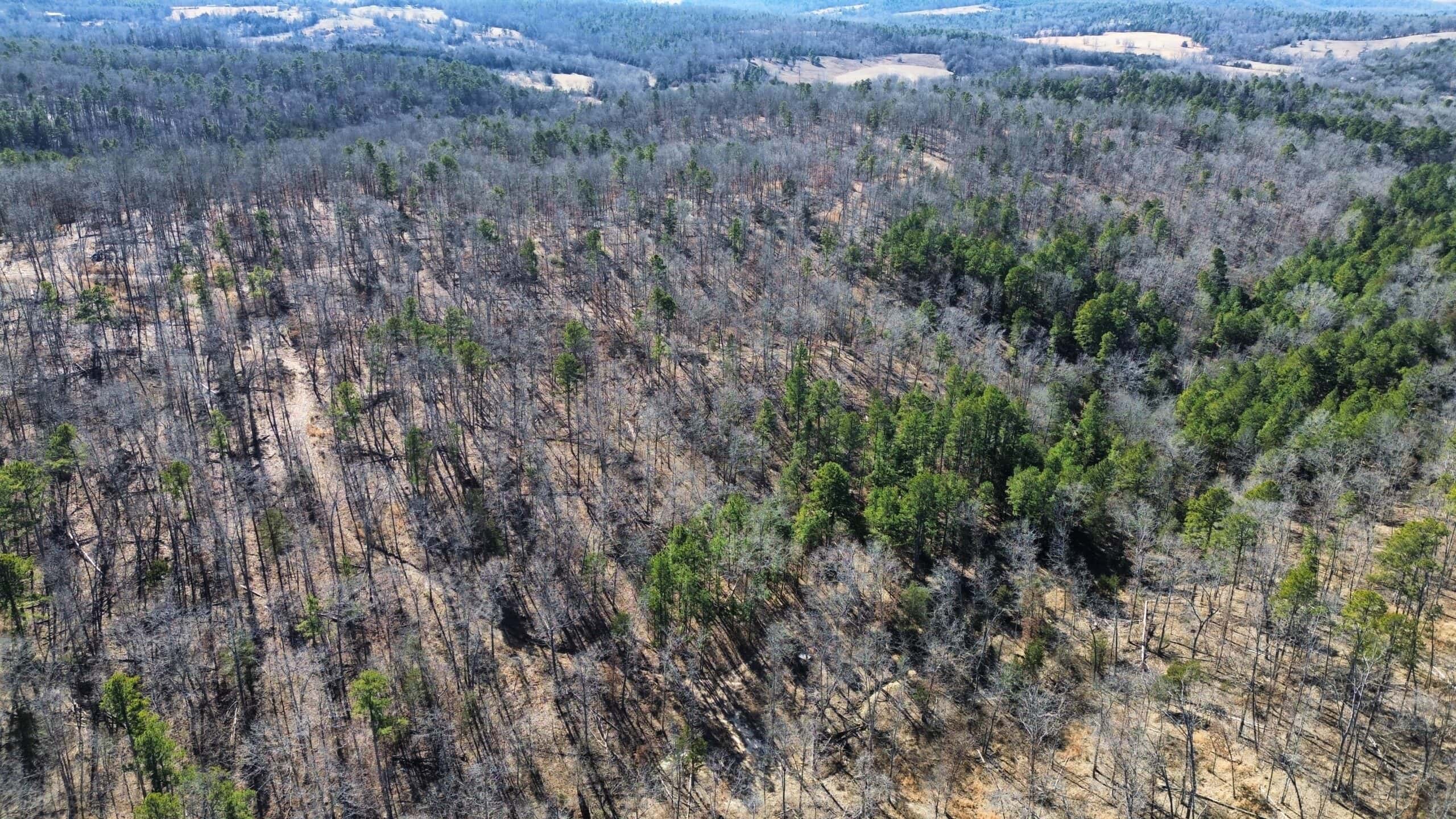 HUNTING LAND FOR SALE IN OZARK MOUNTAINS OF ARKANSAS