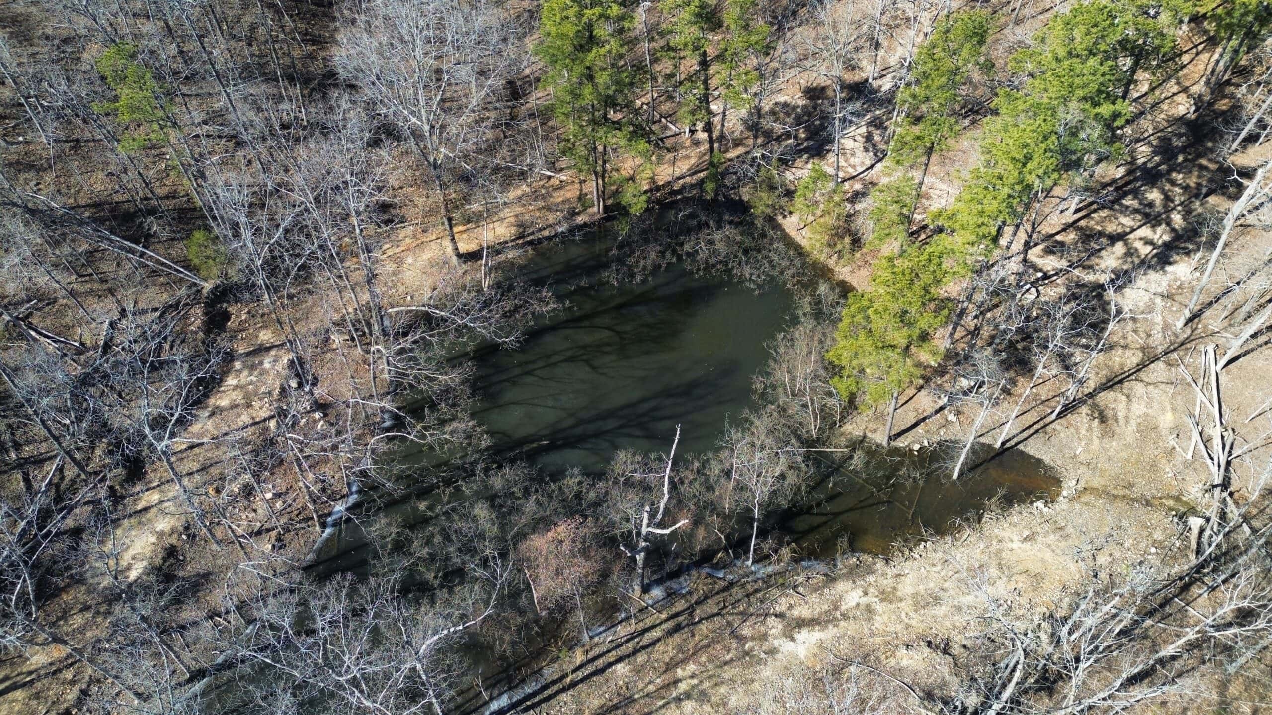 HUNTING LAND FOR SALE IN OZARK MOUNTAINS OF ARKANSAS