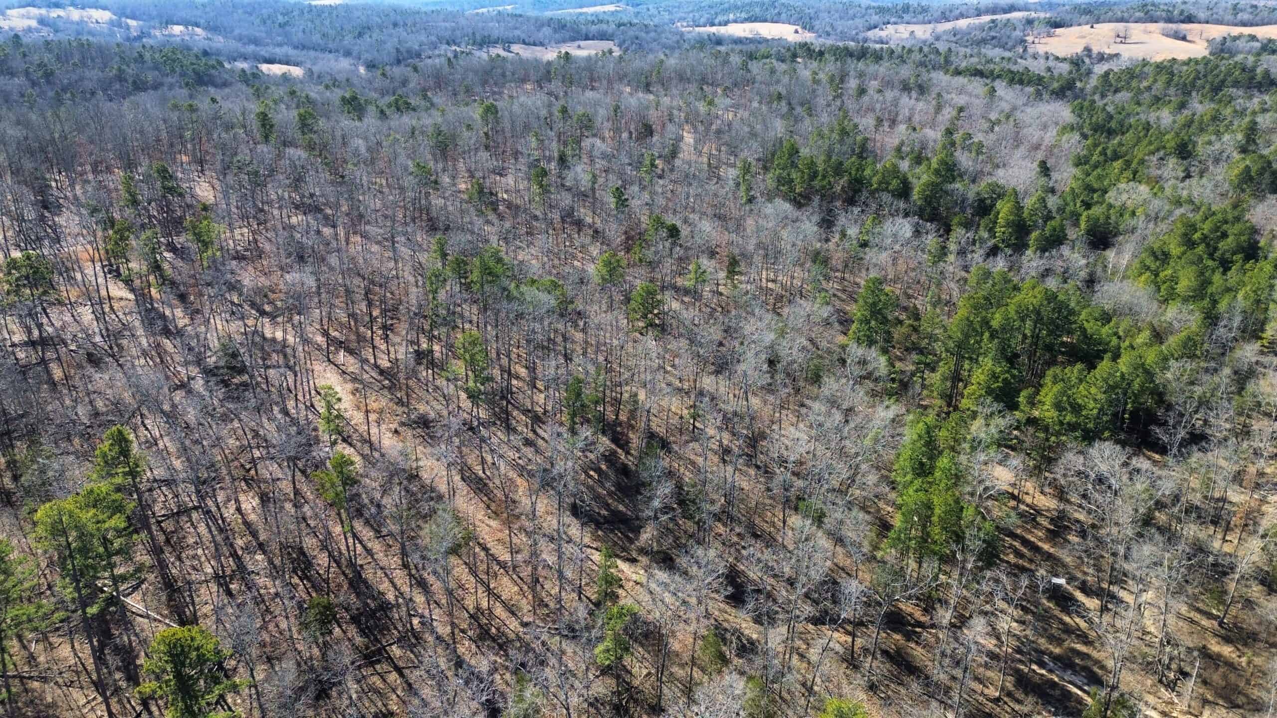 HUNTING LAND FOR SALE IN OZARK MOUNTAINS OF ARKANSAS