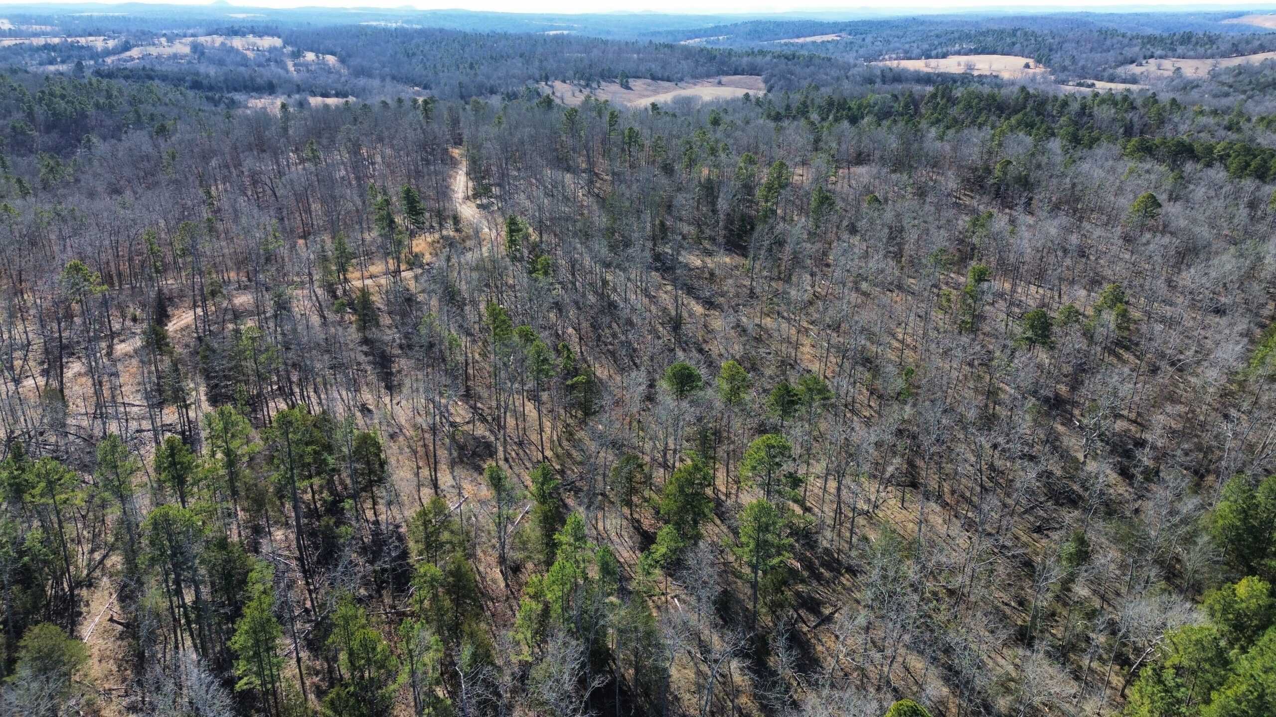 HUNTING LAND FOR SALE IN OZARK MOUNTAINS OF ARKANSAS