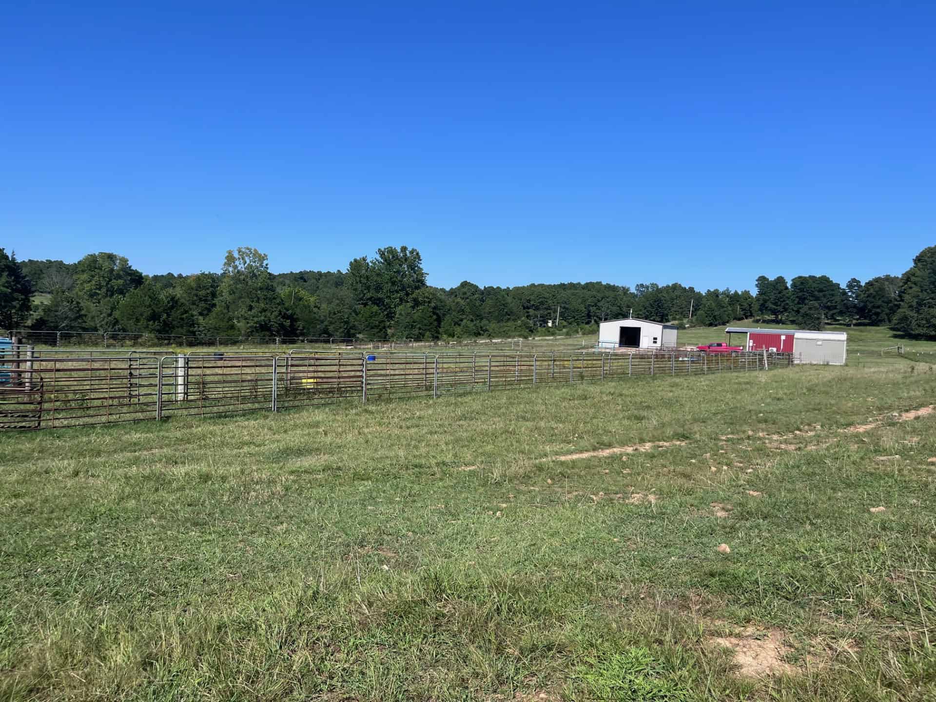Equine Property with Deer and Turkey Population
