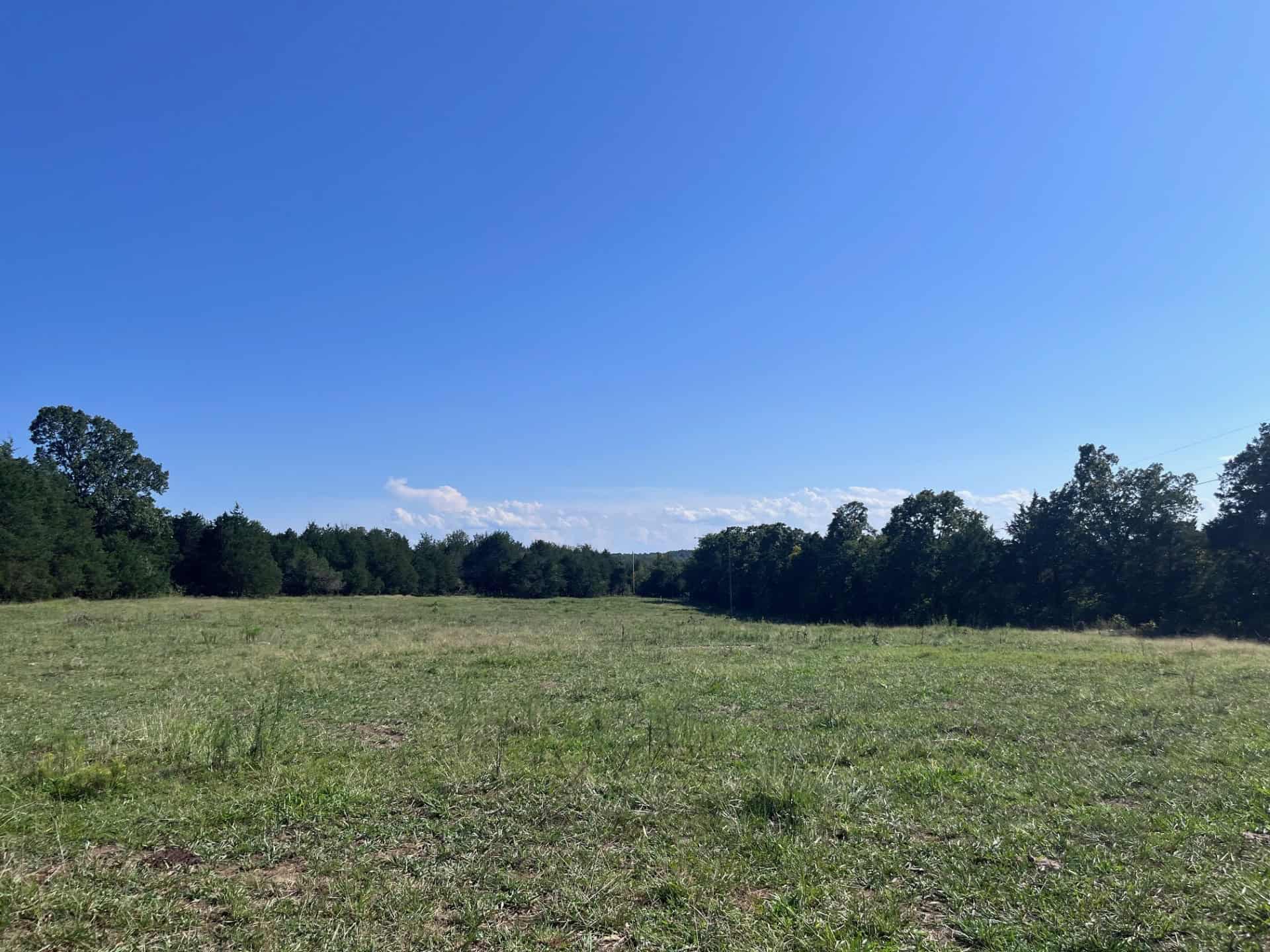 Equine Property with Deer and Turkey Population