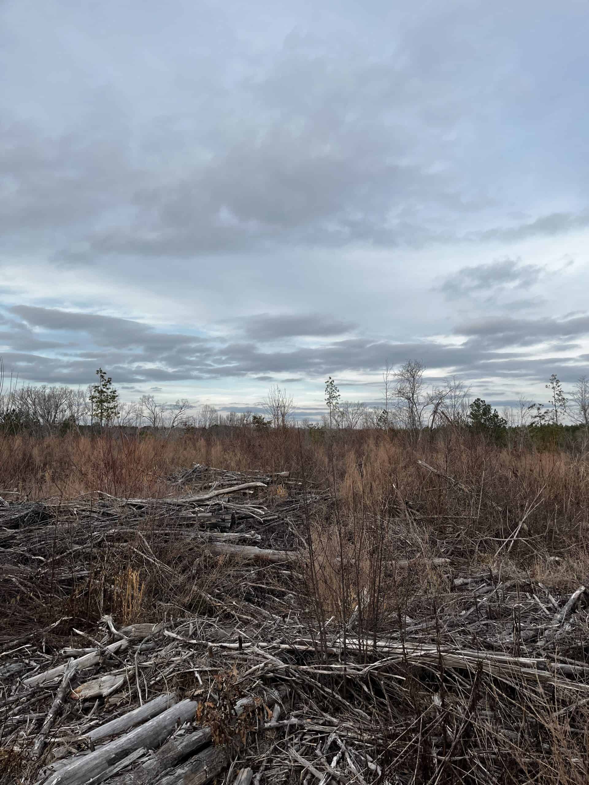 Hunting Land For Sale in Enoree, SC!