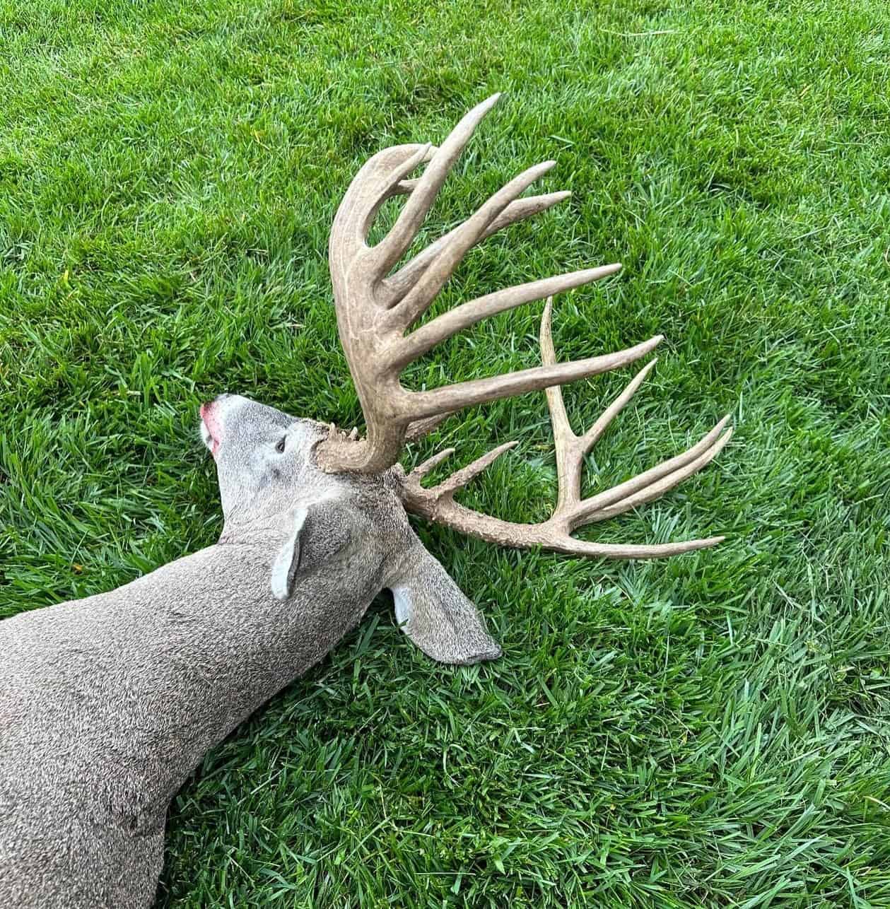 Deer, Turkey, Quail, Dove & Waterfowl