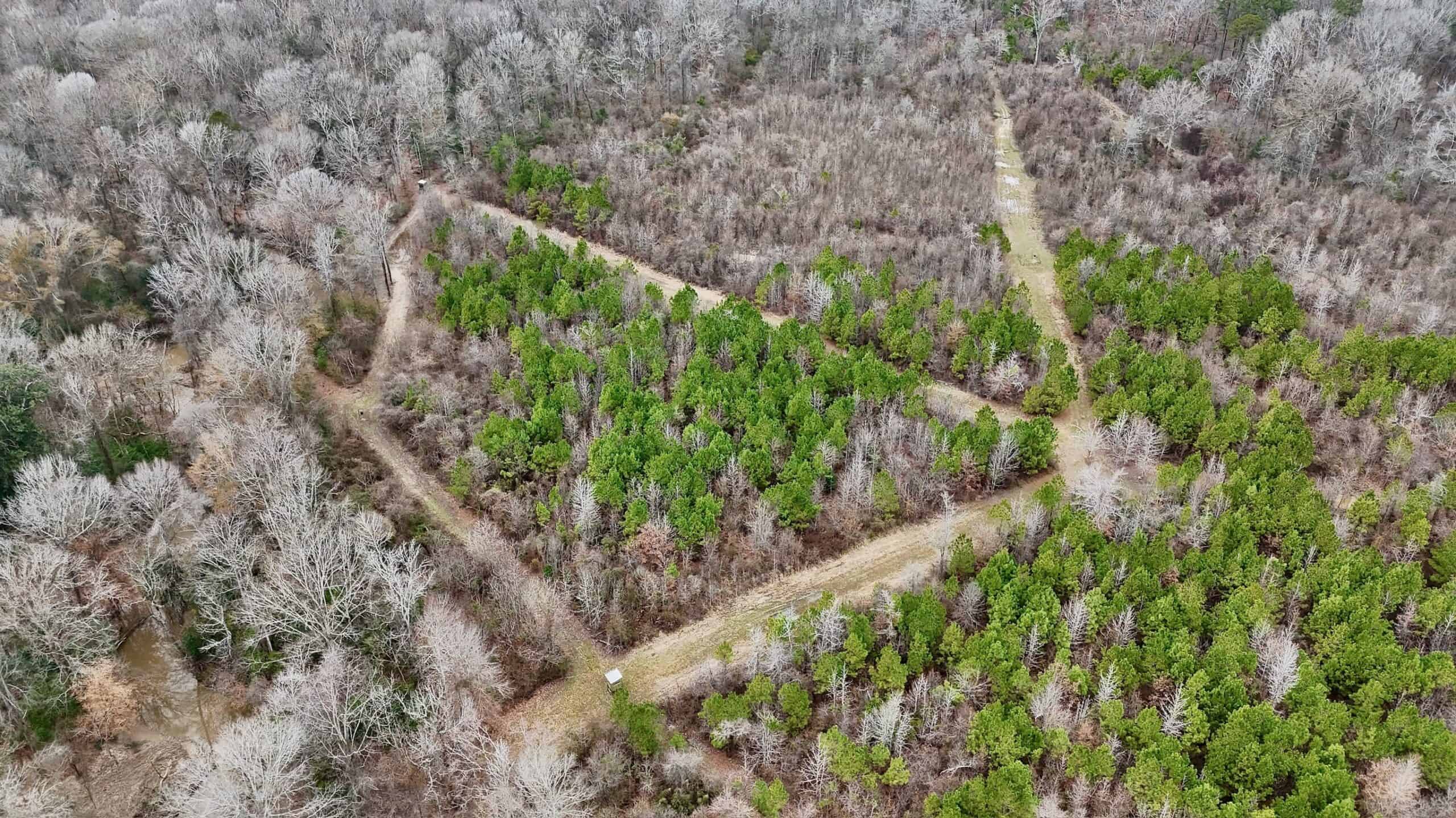 Hunting Property with a Camp and a Great Homesite