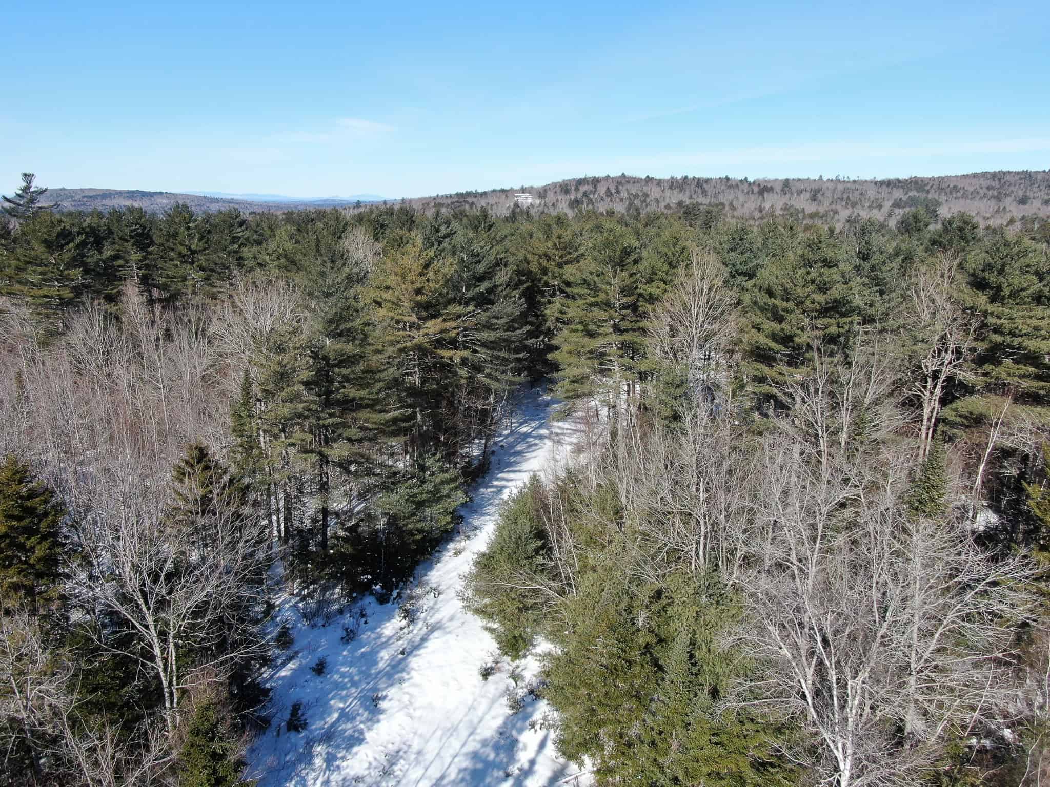 32 Acres with Off-Grid Cabin
