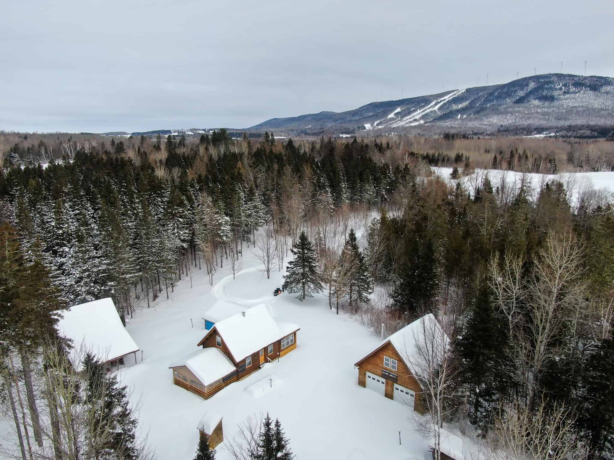Log Cabin 40 Acres with Trout Stream