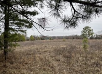 20-Acre Hunter’s Paradise in Southeastern Oklahoma-Prime location & Utilities Ready