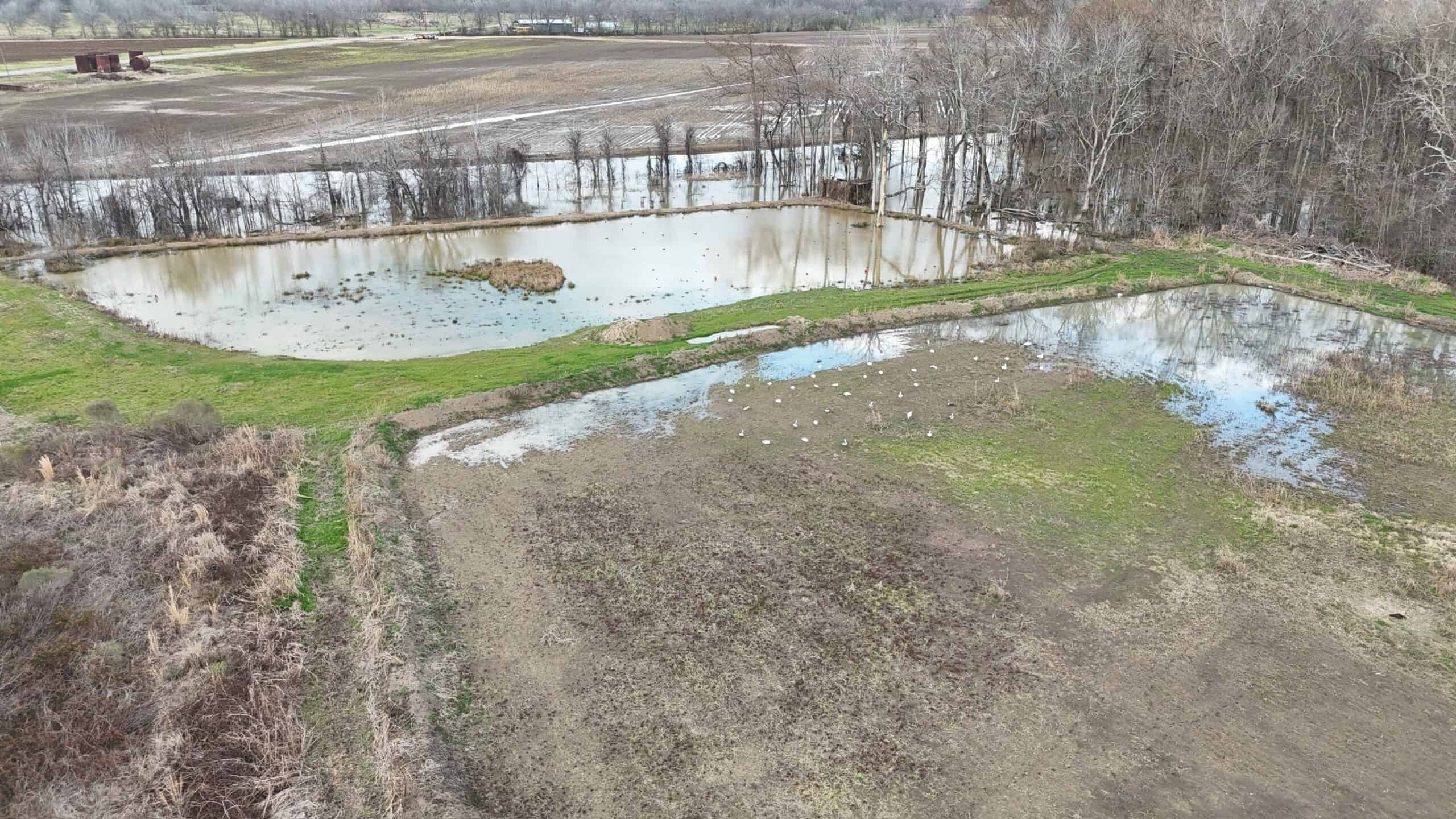 LA Delta Duck and Deer Hunting Property with a Camp