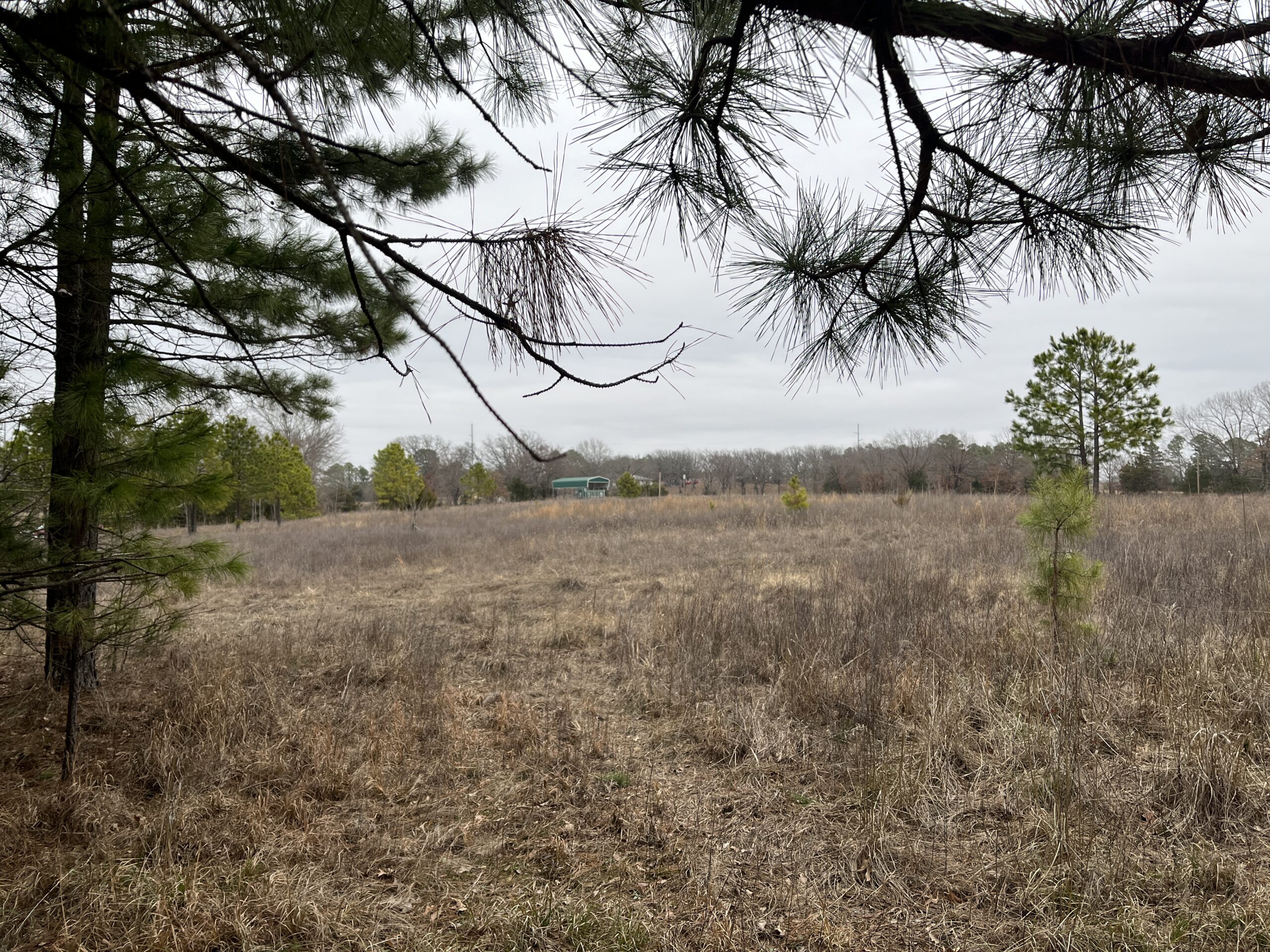 20-Acre Hunter’s Paradise in Southeastern Oklahoma-Prime location & Utilities Ready