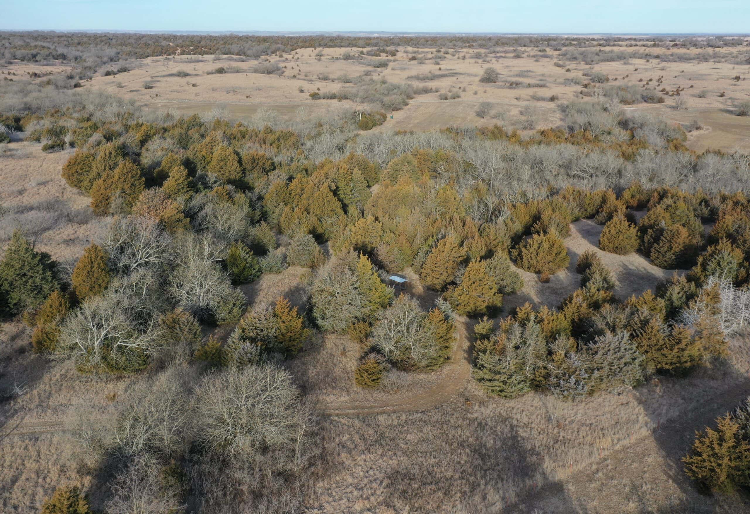 Deer, Turkey, Quail, Dove & Waterfowl
