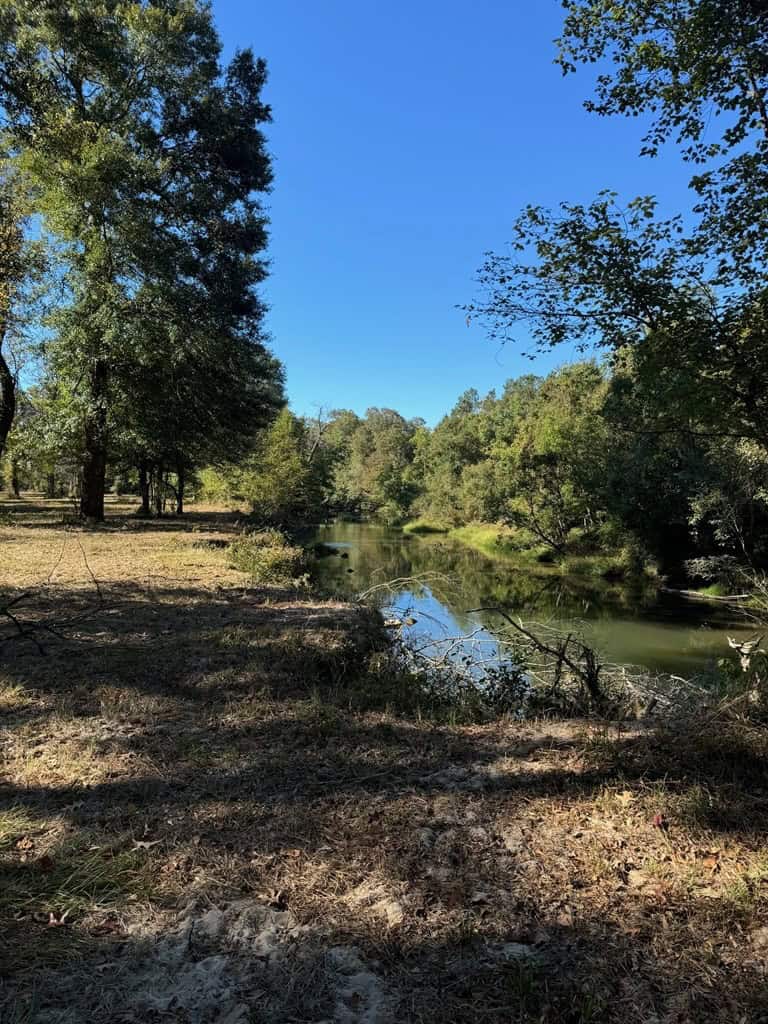 Land on the Tangipahoa River in Pike County, MS