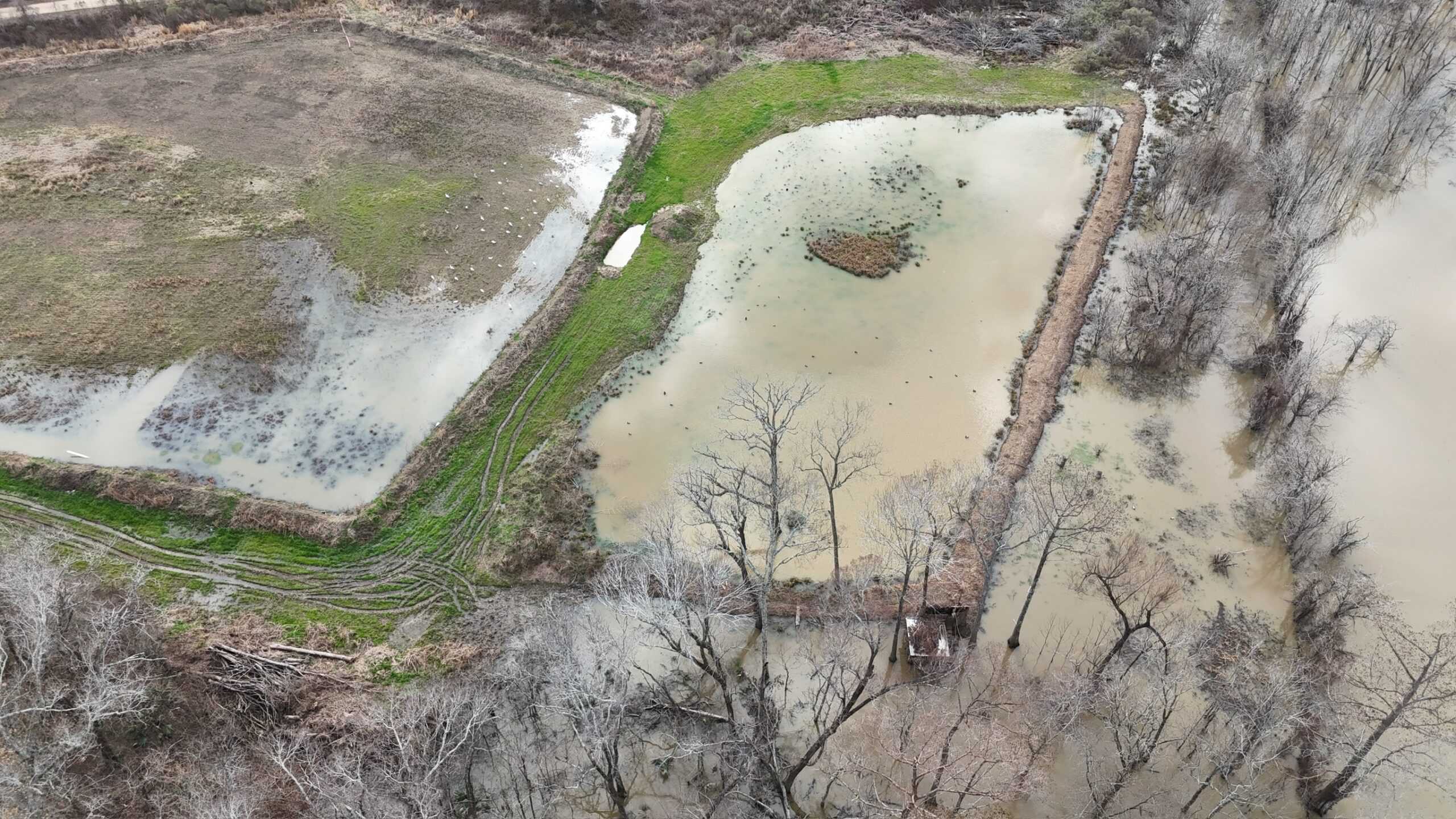 LA Delta Duck and Deer Hunting Property with a Camp